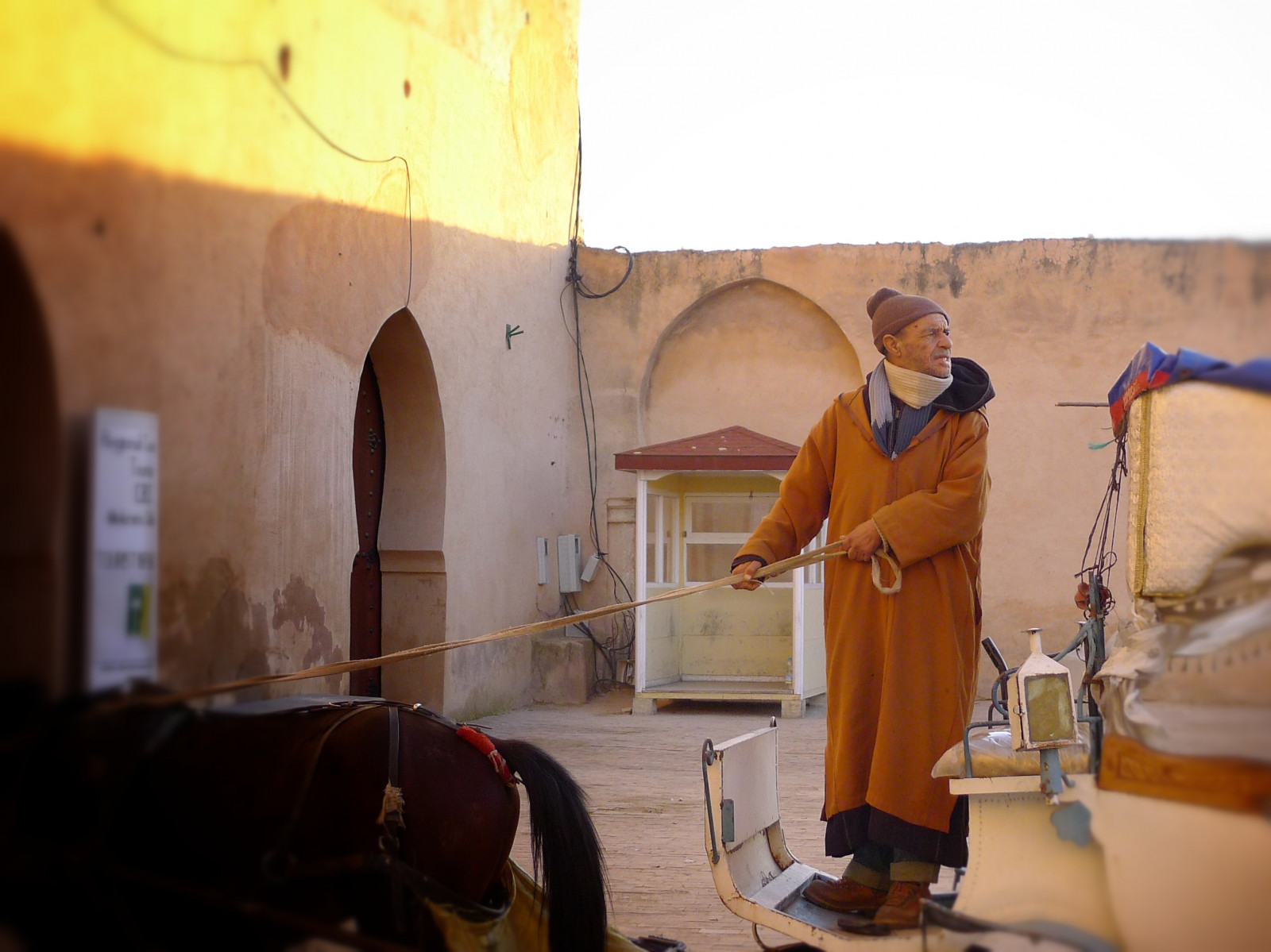 신전, 창문, 말, 노랑, 녹, 서 있는, 맑은, 운전사, 모로코, 마차, 벽, 출입구, 베이지 색, 메케 네스, 고삐, Caleche