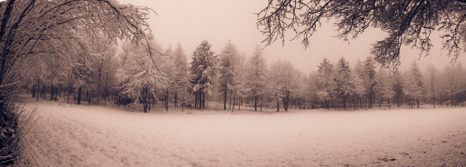 sollys, træer, landskab, Skov, blade, hvid, sort, fugle, 500px, mørk, abstrakt, bakke, natur, himmel, sne, vinter, væg, træ, afdeling, bakker, morgen, frost, dyreliv, historisk, gård, Nikon, hegn, morgenmad, britisk, sti, Fryser, Lightroom, top, frisk, Mono, Fokus, lys, udsættelse, træ, gå, blad, høj, skønhed, landbrug, landskabet, felter, D7100, engelsk, skov, fryse, computer tapet, fugtig, sti, Oxfordshire, Warwickshire, cotswolds, dxooptics, rollrightstones, Chipping Norton, greatrollright, therollrightstones