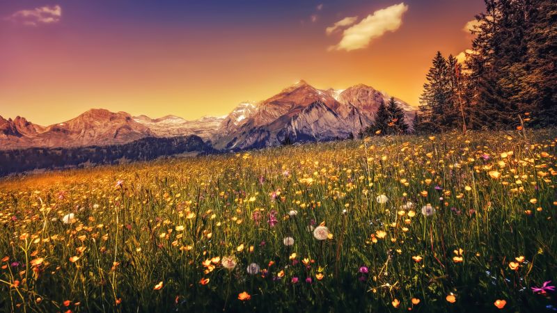 3840x2160 px, landscape, mountains, nature, panoramas, sunlight 3840x2160 px, landscape, mountains, nature, panoramas, sunlight