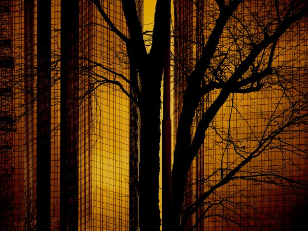 architecture,building,sky,sunlight,sunset,night