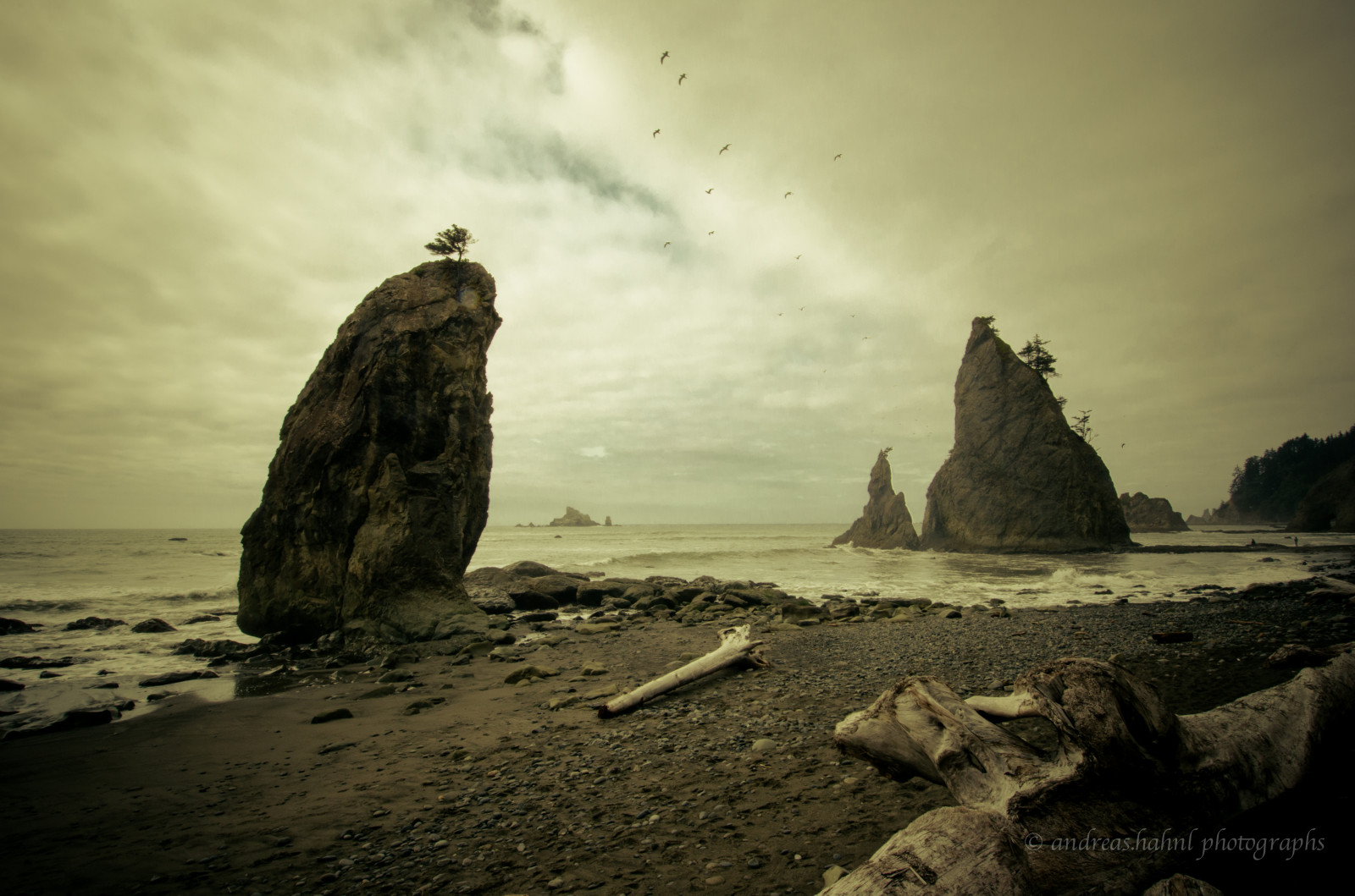 デスクトップ壁紙 アメリカ合衆国, 海岸, ワシントン, トワイライト, ニコン, 岩, ミーア, パシフィック, NGC, ラプッシュ, フェルゼン, Westk Ste