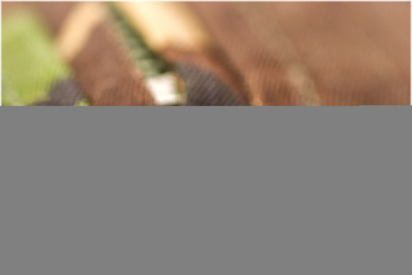 macromondays,clothtextile,one,old,dpm,disruptive