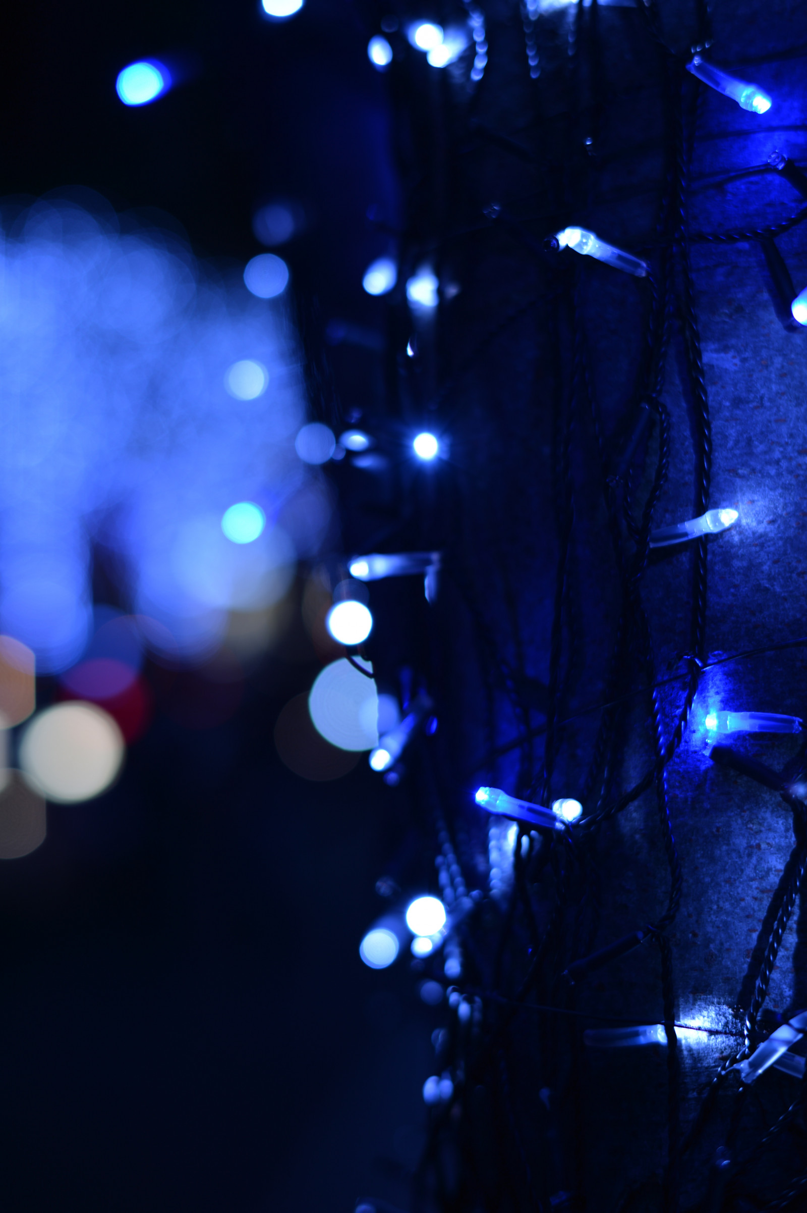 Japonsko, noc, odraz, modrý, kruh, Nikon, Tokio, jp, světlo, barva, NIKKOR, květ, osvětlené, osvětlení, osvětlení, tvar, tma, df, Roppongi, keyakizaka, afs58mmf14g, afsnikkor58mmf14g, osvětlit, vánoční dekorace