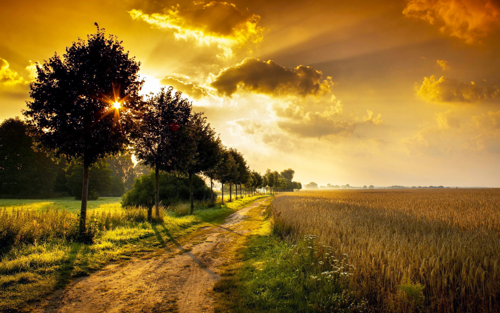 Sfondi Luce Del Sole Paesaggio Tramonto Natura Cielo Campo Alba 