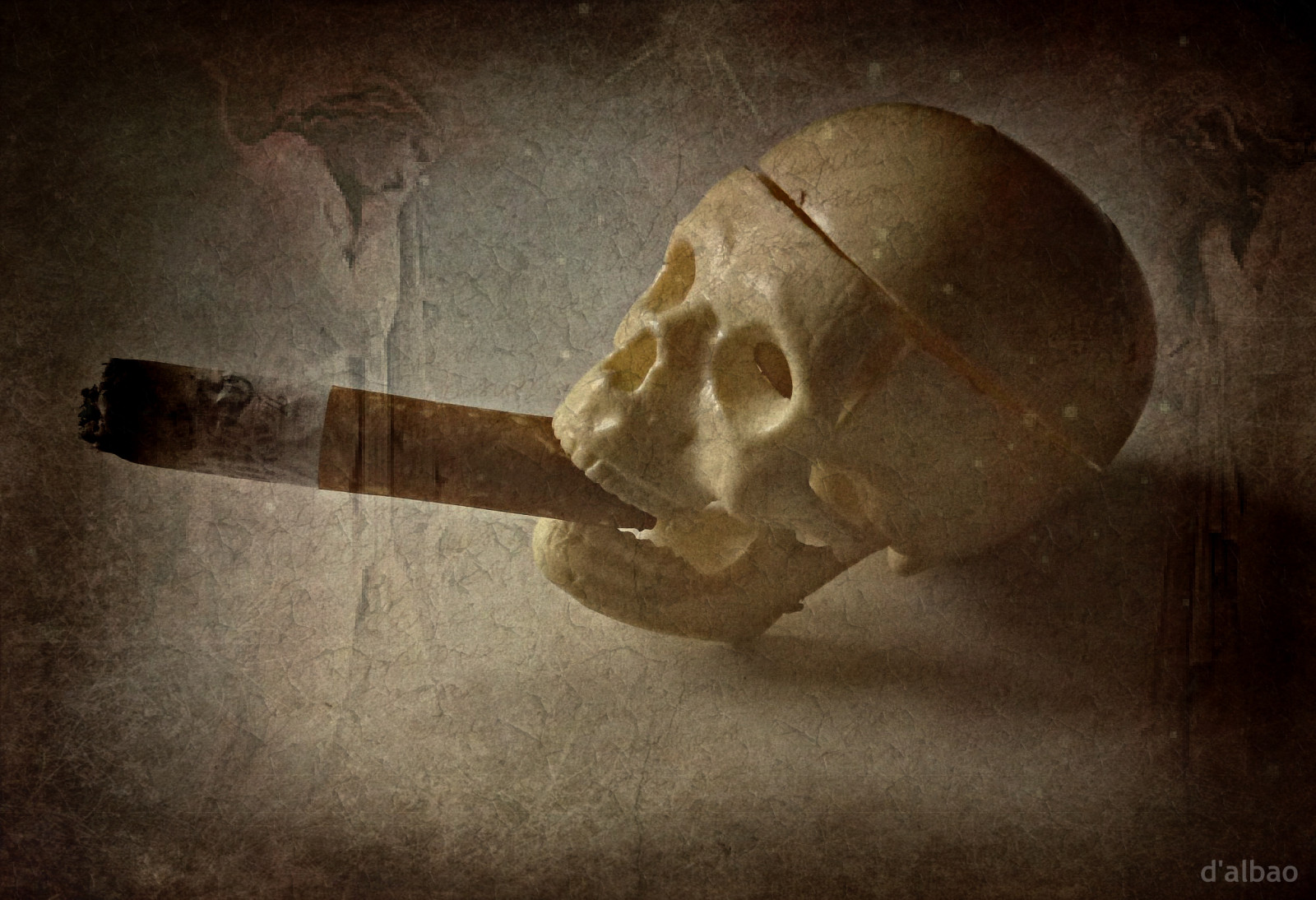 struttura, cranio, strutturato, morto, 2013, cattivo, oscurità, sigaretta, lumix, composizione, fumatore, composicion, dalbao, francodalbao, still life, osso, mascella, Calavera, cigarrillo, fumador, malo, muerto, cranio, craniofacciale, texturado