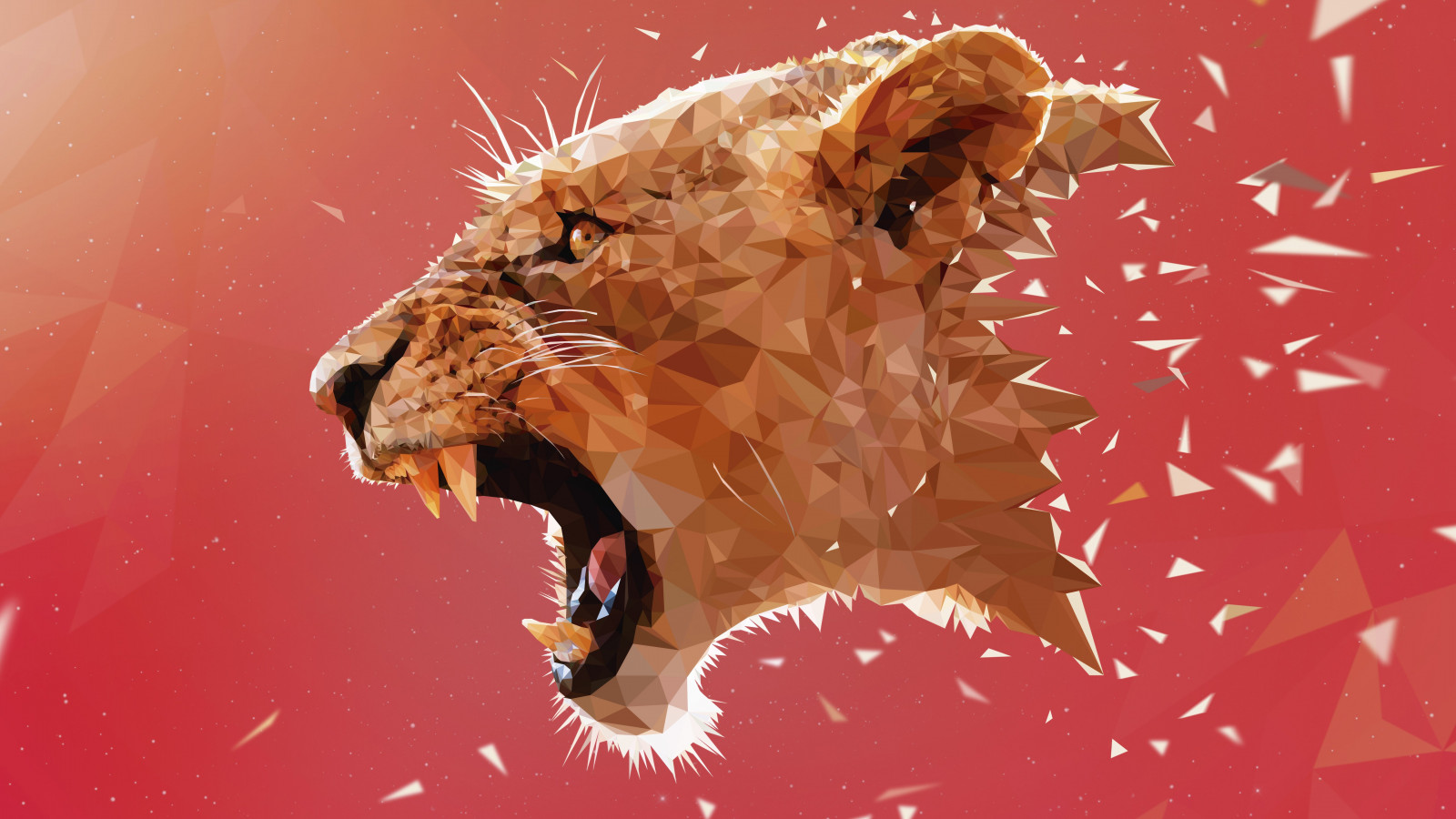 ภาพประกอบ, ศิลปะดิจิตอล, สัตว์, โพลีต่ำ, สิงโต, สีชมพู, Adobe Illustrator, สัตว์เลี้ยงลูกด้วยนม, แมวเหมือนสัตว์เลี้ยงลูกด้วยนม