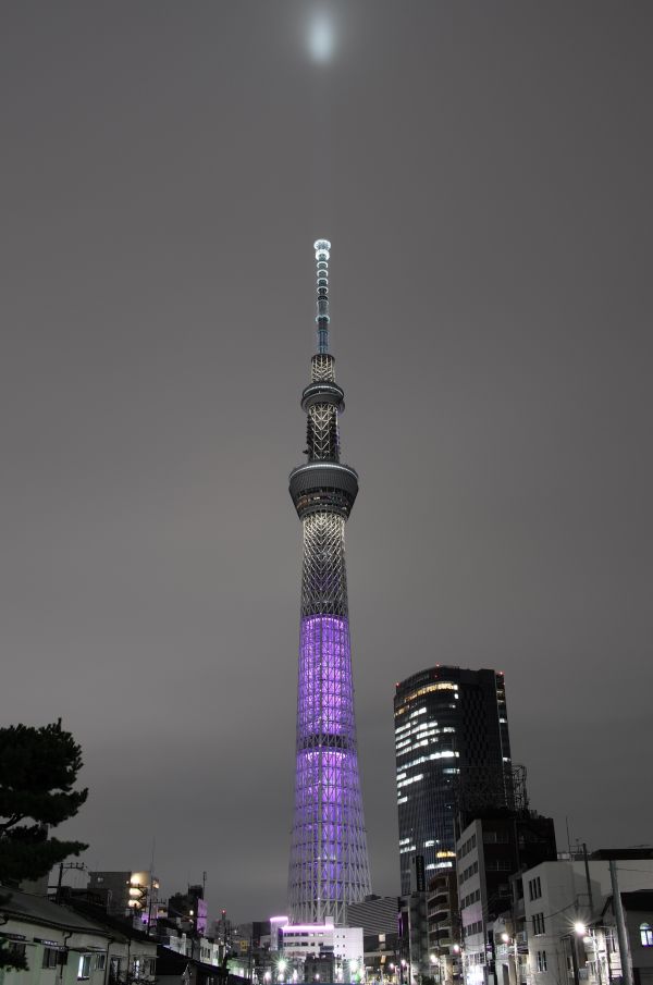 Japan,city,cityscape,night,architecture,skyline