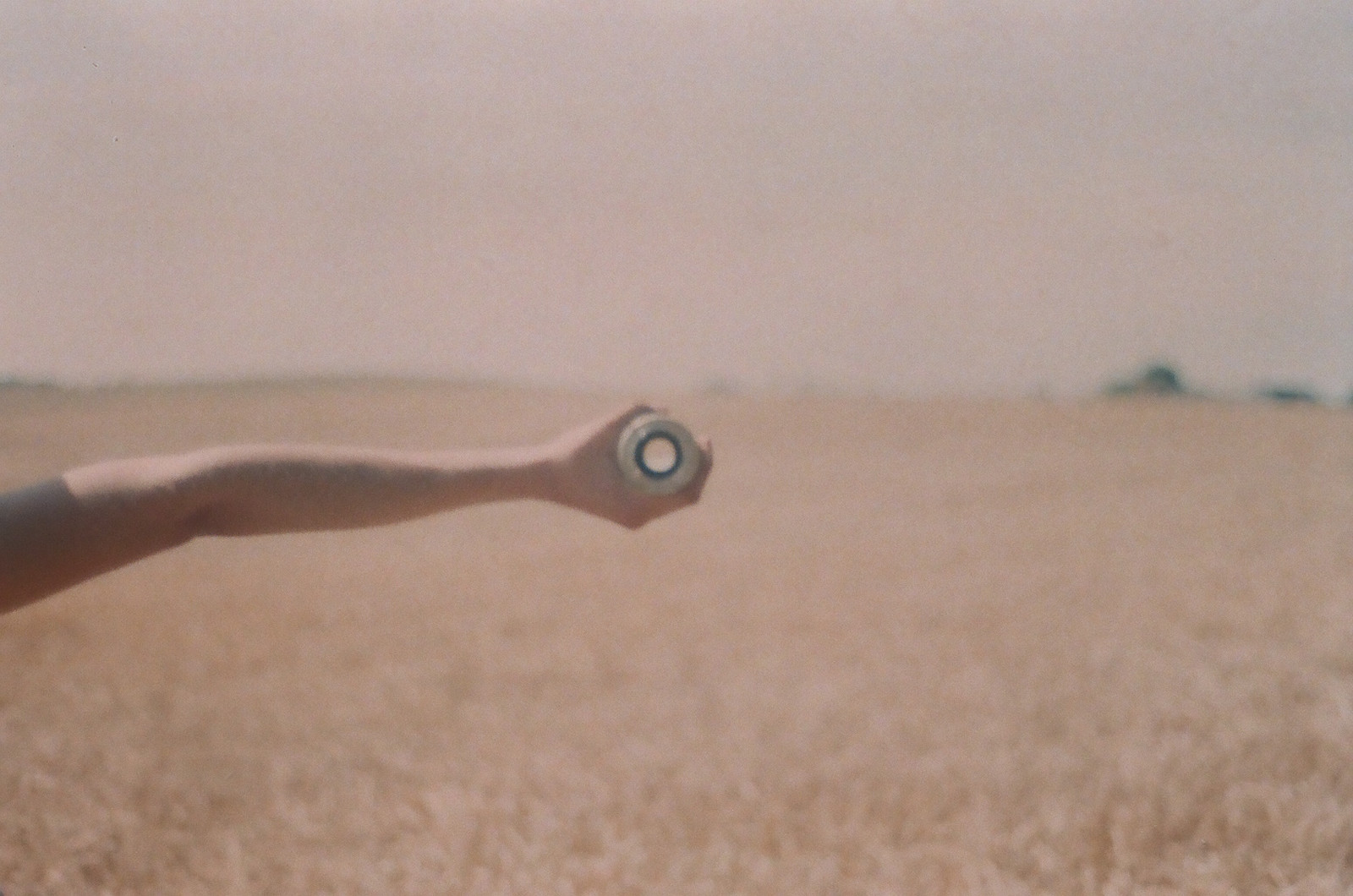 ΖΩΗ, ΦΩΤΟΓΡΑΦΙΚΗ ΜΗΧΑΝΗ, αγόρι, άγριος, ουρανός, Ανθρωποι, SLR, ΤΕΧΝΗ, ταινία, πεδίο, αναλογικό, 35MM, έξω, Δανία, Χαμένος, εξω απο, 50 χιλιοστά, Nikon, φίλος, μακρύς, παράδεισος, ημέρα, ειρήνη, χέρι, μπράτσο, δάσος, ΕΞΩΤΕΡΙΚΟΥ ΧΩΡΟΥ, Γη, σημάδι, δάχτυλο, δάχτυλα, σιτηρά, hipster, νεαρός, Ελεύθερος, Κοντομάνικη μπλούζα, ημέρες, ο άνθρωπος, 35mmfilm, αναλογικό, λεπτός, potrait, παιδί, φακός, καλή ζωή, ήσυχη ζωή, nikonem