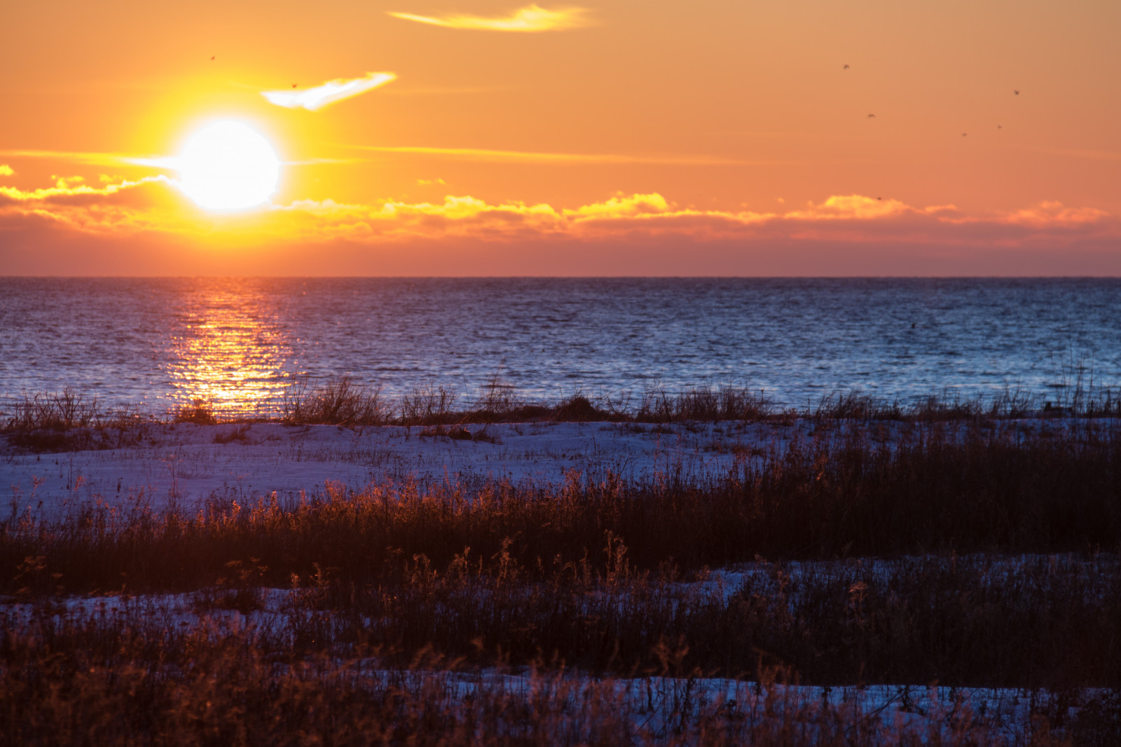 แสงแดด, พระอาทิตย์ตก, ทะเล, ฝั่ง, การสะท้อน, ฤดูหนาว, ชายหาด, พระอาทิตย์ขึ้น, ตอนเย็น, เช้า, ชายฝั่ง, ดวงอาทิตย์, ขอบฟ้า, พลบค่ำ, เมฆ, รุ่งอรุณ, มหาสมุทร, คลื่น, solnedg ng, Vinter, hav, Trelleborg, kust, v strasm b tshamnen, สายัณห์, ท้องฟ้าสีแดงตอนเช้า