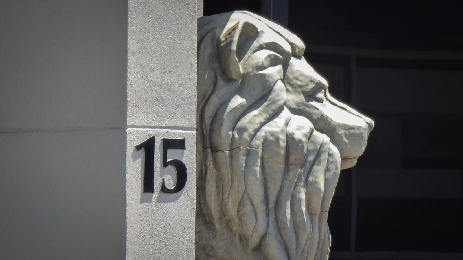 Wallpaper building, lion, sign, office, Sun, grey, statue, museum, commercial, concrete