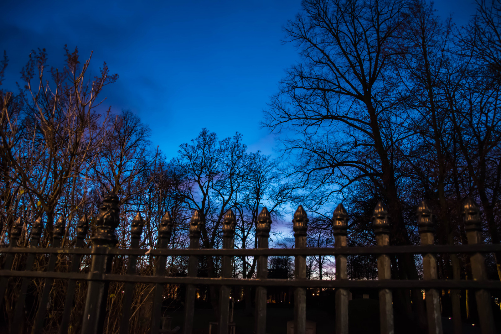 slunečnímu záření, západ slunce, město, panoráma města, noc, Příroda, odraz, nebe, zima, večer, ráno, hřbitov, Švédsko, soumrak, Soumrak, Sverige, Malm, strom, podzim, bluehour, svítání, rostlina, venkovní, cityview, sezóna, sk nel n, se, nebe, stad, skymmning, kyrkog rd, hřbitov, gamlakyrkog rden, dřevina