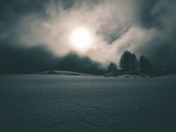 nature,snow,overcast,sunlight