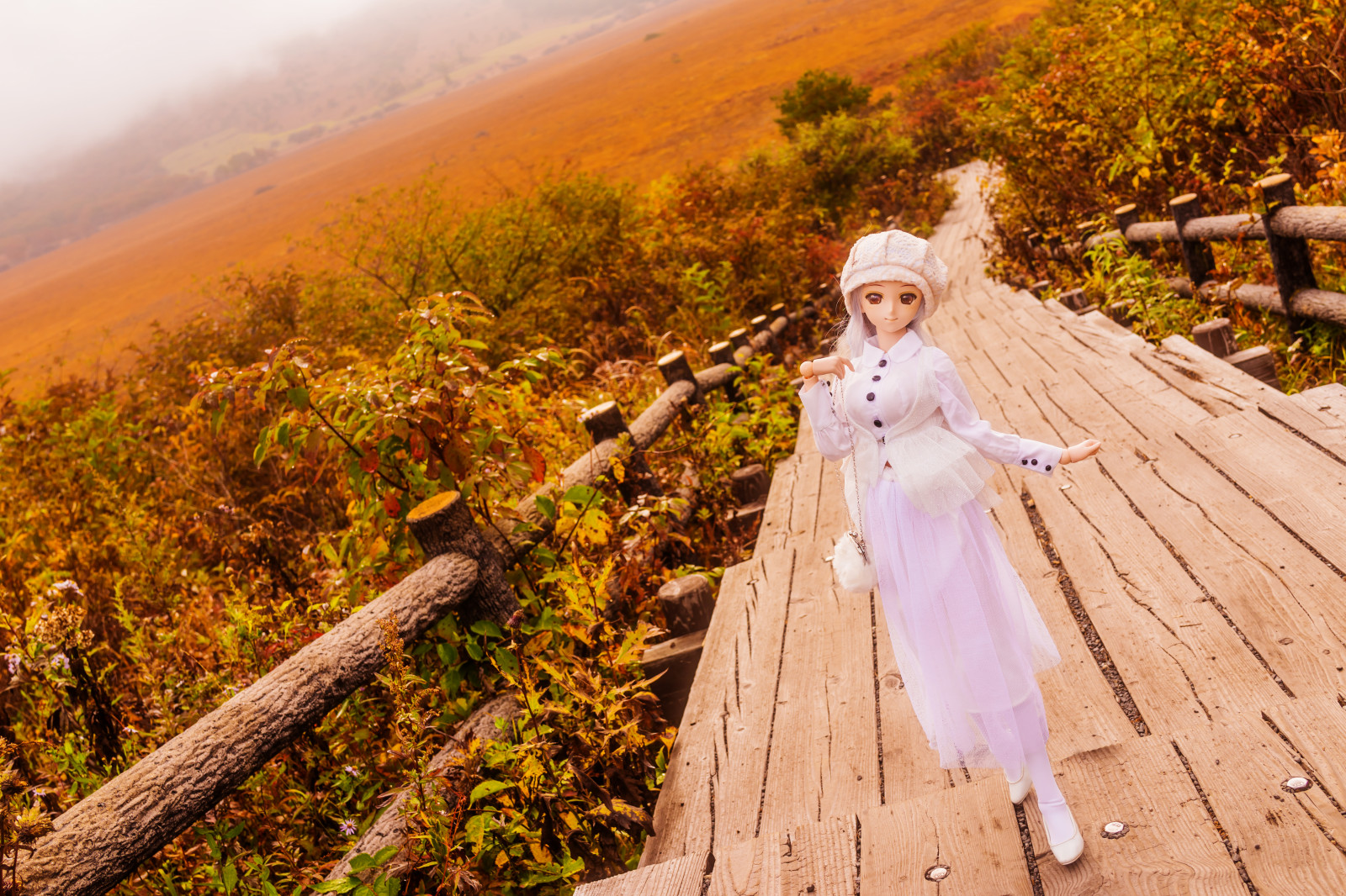 slunečnímu záření, krajina, tráva, nebe, fotografování, Sony, RX1R, strom, podzim, list, květ, rostlina, dívka, zábava, rekreace, dollfiedream, dd, obřad, dscrx1r