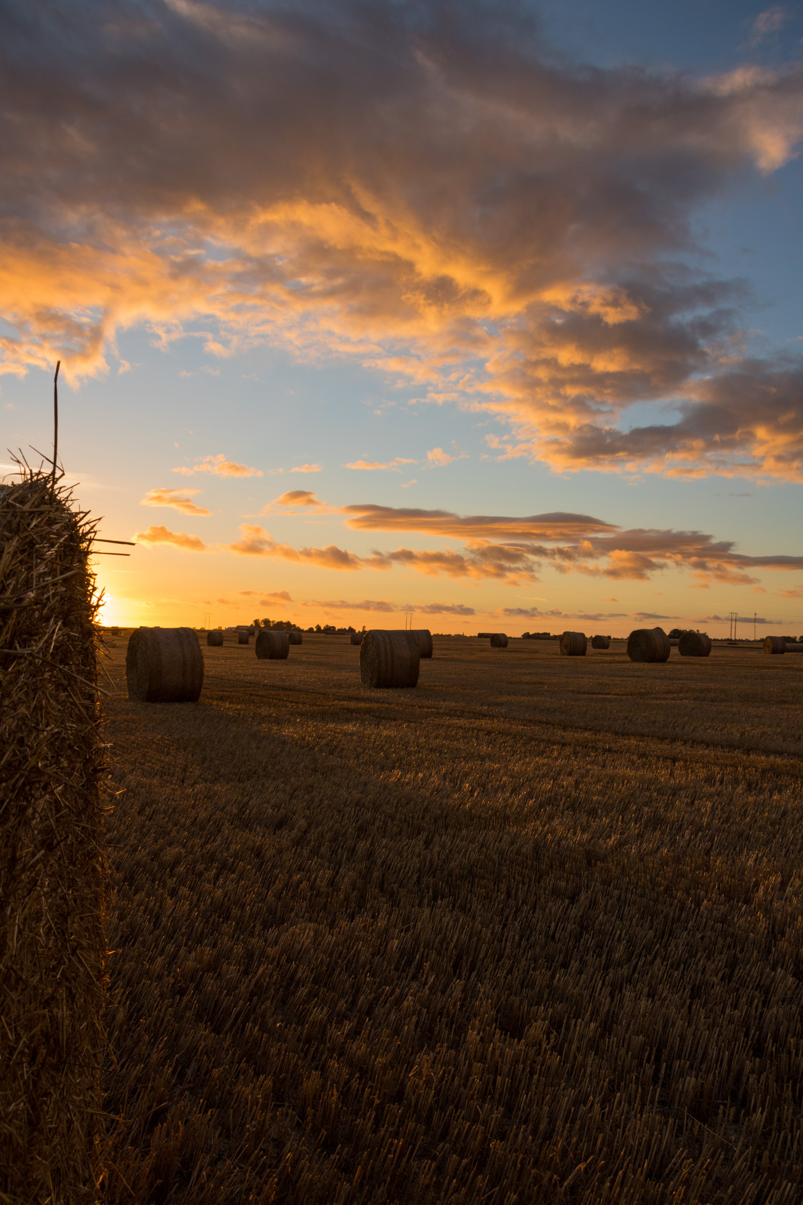 slunečnímu záření, krajina, západ slunce, kopec, Příroda, nebe, pole, svítání, večer, ráno, slunce, horizont, soumrak, mrak, svítání, lučina, zlatá hodina, nebe, solnedg ng, moln, s dersl tt, landskap, exif modelu canoneos760d, geocountry, Kamera aby kánon, geocity, Model fotoaparátu canoneos760d, geostate, geolocation, EXIF čočka efs18200mmf3556is, exif aby kánon, EXIF isospeed 100, EXIF otvor 80, exif focallength 18mm, s dra od, halmrulle, gyllenetimmen, stéblo, rohlíky, strawrolls, zemědělství, prostý, prérie, půda, venkov, tráva rodina, meteorologický jev