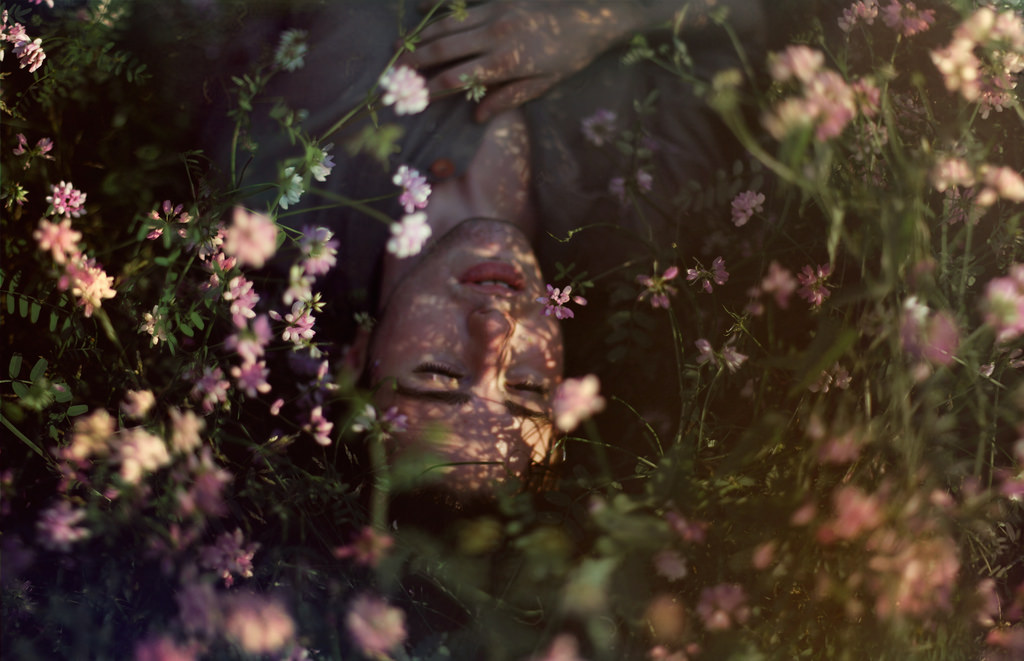 tvář, světla, západ slunce, květiny, milovat, odraz, rostliny, Země, zelená, Ztracený, znaky, jednoduchý, Kánon, vítr, atmosféra, fantazie, vinobraní, život, bokeh, emoce, štěstí, zen, Létat, F14, Soustředit se, světlo, strom, 5dmarkii, 50mm, podzim, stíny, chlapec, barvy, květ, nálada, dobrý, zlatá hodina, Pohyb, flóra, dof, ruka, mě, vysoký, sen, umělec, tušení, tumblr, výraz, já, autoportrét, projekt, melancholie, artistsontumblr, 52 týdnů, Kalamazoo, expanze, jaredtyler, cookaloris, jaredinthebox, jaredtylerphotography