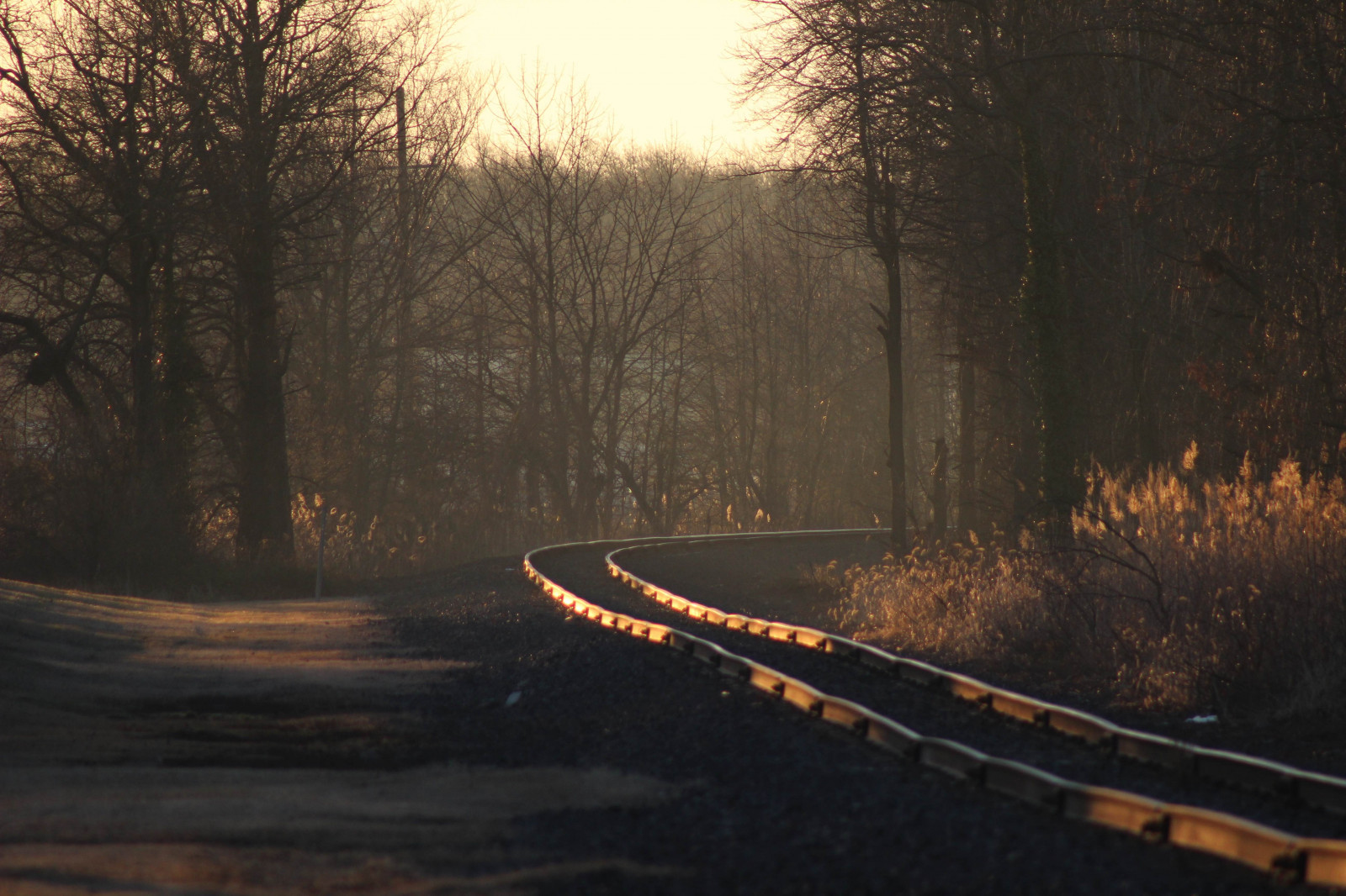 luce del sole, alberi, foresta, tramonto, notte, natura, riflessione, la neve, inverno, ramo, Alba, sera, mattina, nebbia, atmosfera, brani, crepuscolo, leggero, albero, autunno, tempo metereologico, alba, stagione, oscurità, habitat, fenomeno atmosferico