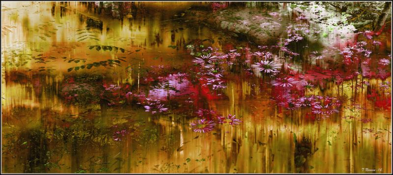 painting, red, reflection, Photoshop, flowers, nature painting, red, reflection, Photoshop, flowers, nature