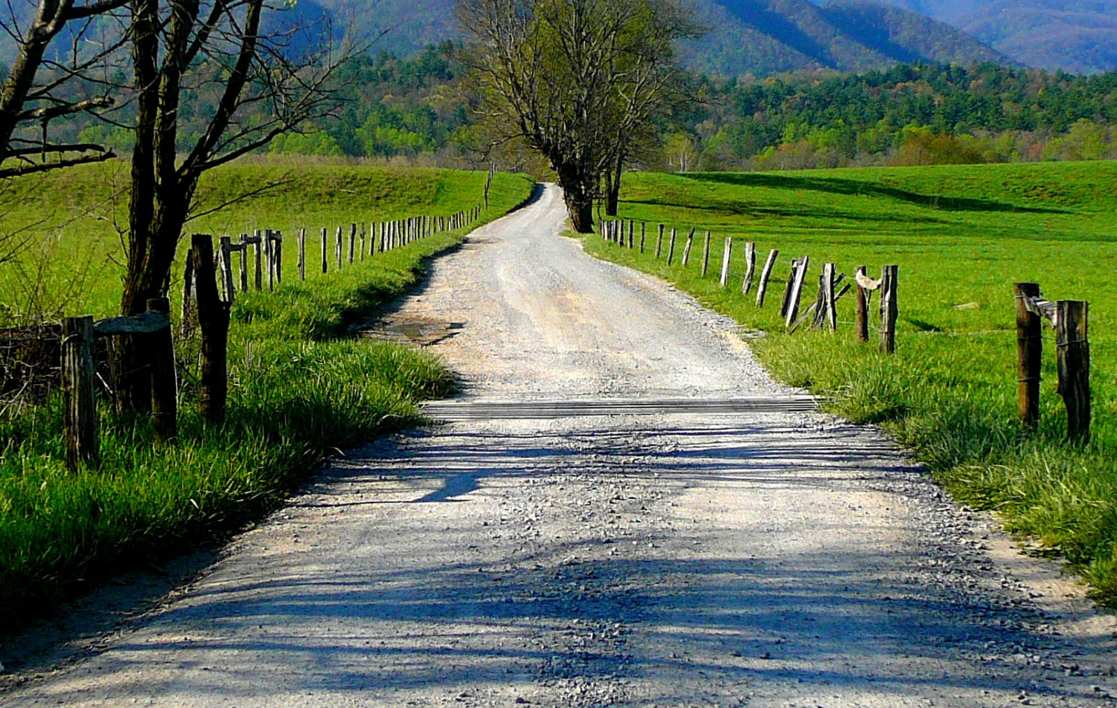 Wallpaper : road, nationalpark, spring, Tennessee, 2008, smokymountains ...