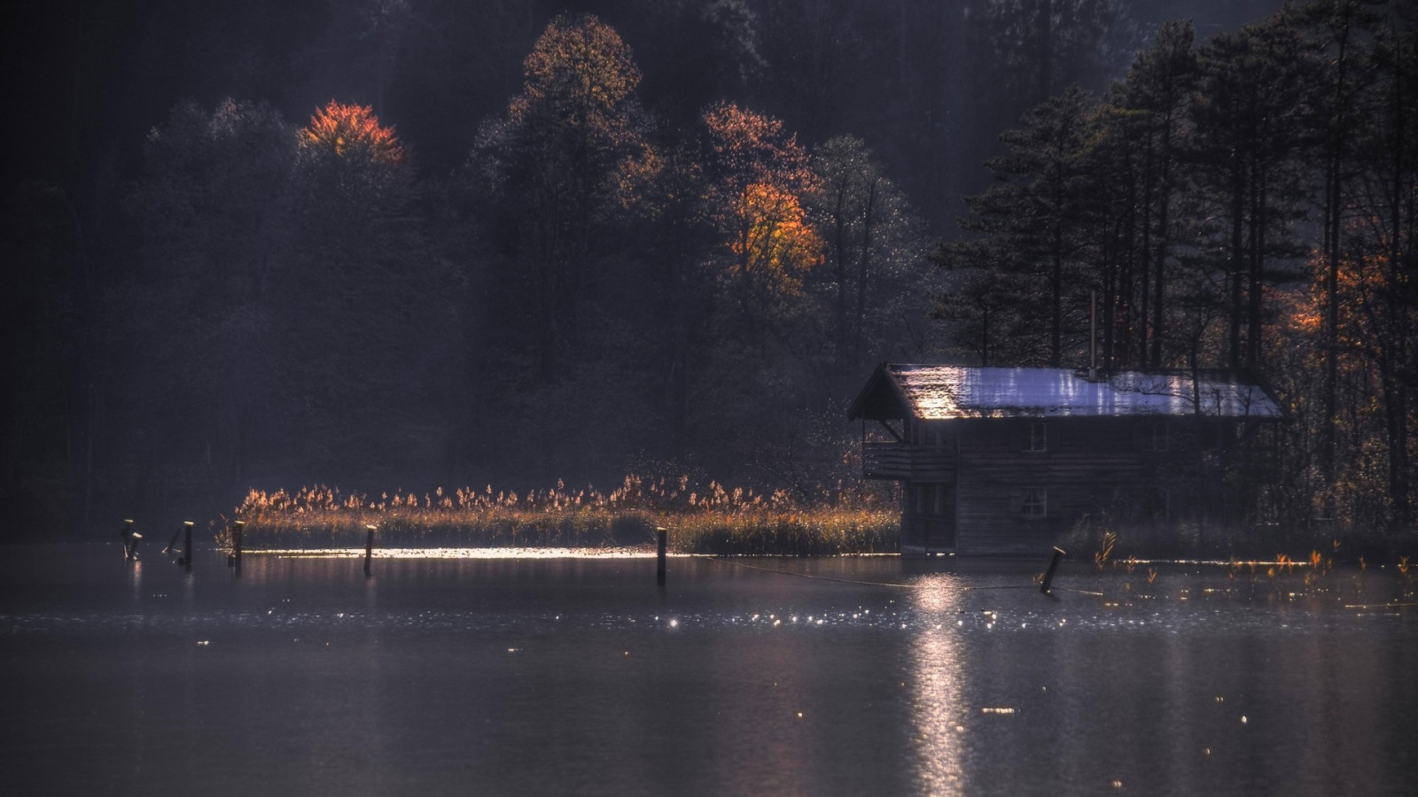 slunečnímu záření, stromy, krajina, les, podzim, noc, jezero, voda, Příroda, odraz, večer, ráno, mlha, sluneční paprsky, chata, květy, soumrak, světlo, mlha, počasí, svítání, tma, 1920x1080 px, atmosférický jev, Atmosféra Země