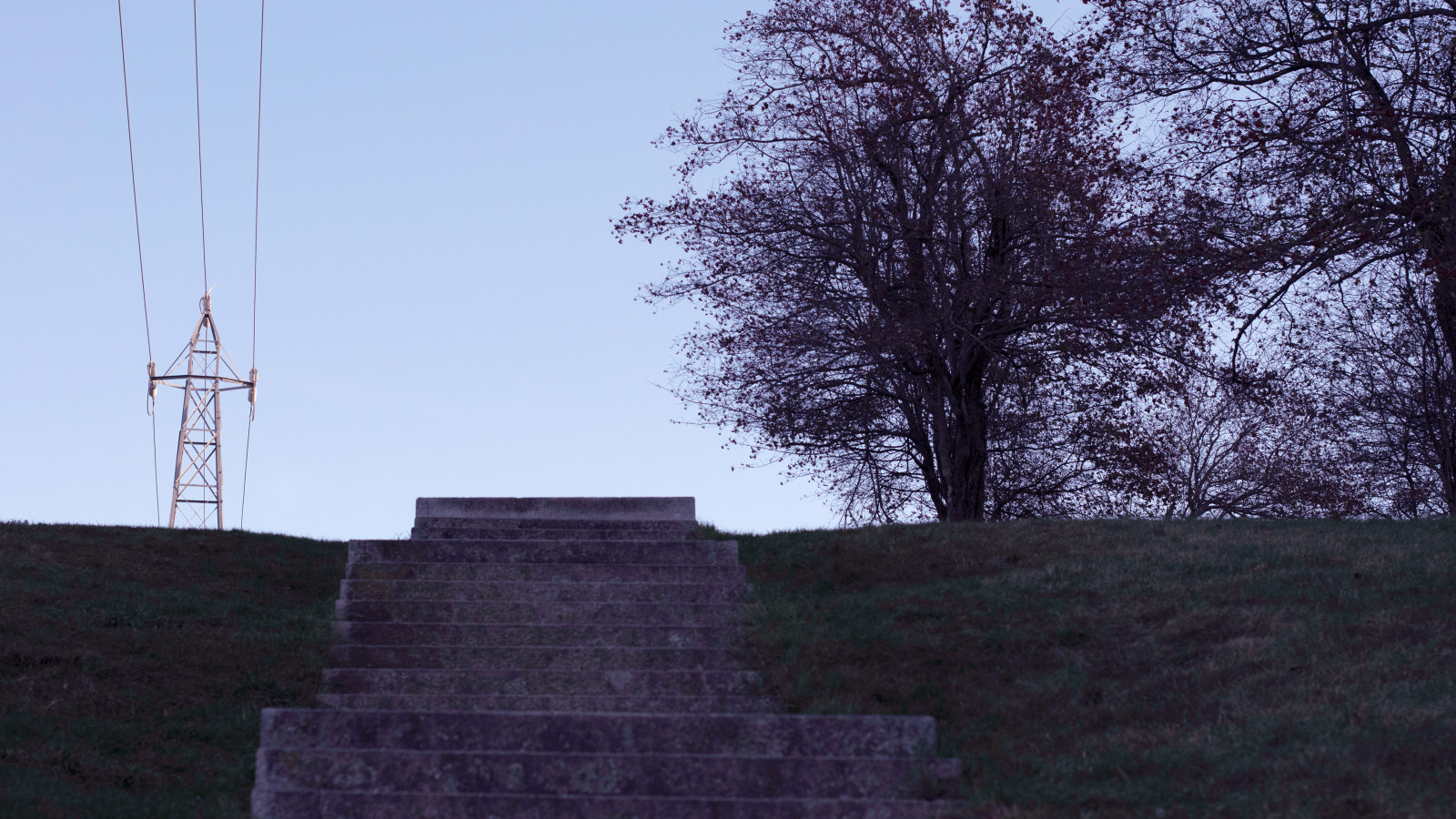 Wallpaper sky, tree, stairs, Tints and shades, slope, electricity