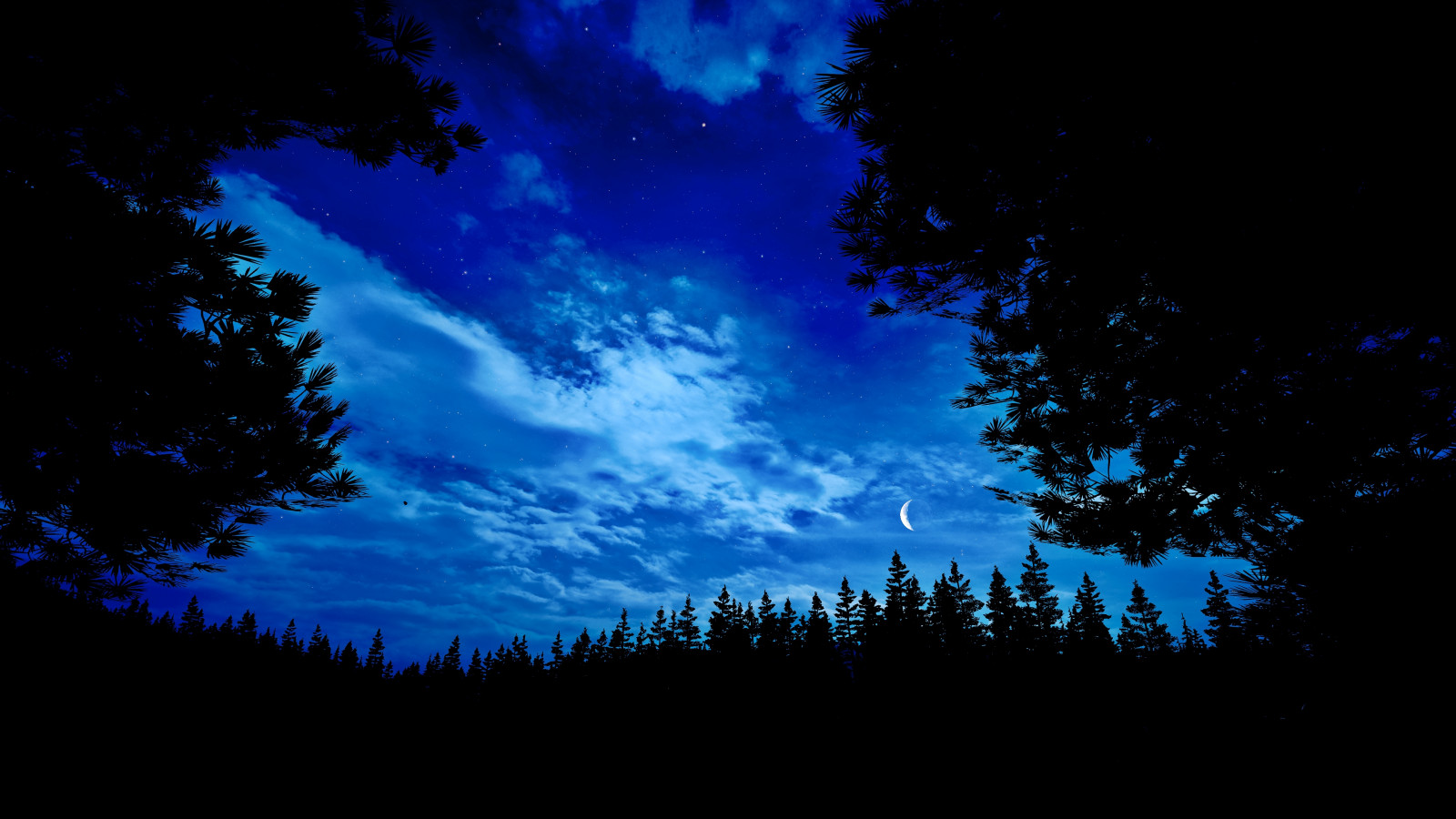nube, cielo, atmósfera, mundo, azur, Natural landscape, rama, árbol, Planta leñosa, alerce, cúmulo, Objeto astronómico, paisaje, oscuridad, césped, horizonte, medianoche, Tints and shades, bosque, azul eléctrico, espacio, Hojas perennes, oscuridad, ART, Fenómeno meteorológico, magenta, conífera, noche, luz de la luna, Aurora, spruce fir forest, Bosques templados de hoja ancha y mixtos, pradera, tropical and subtropical coniferous forests, reflexión, invierno, bosque, noche, Northern hardwood forest, Congelación, contraluz, resplandor crepuscular, abeto, pino, Bosque de coníferas templado, cordillera, Familia del pino, Viejo bosque del crecimiento, silueta