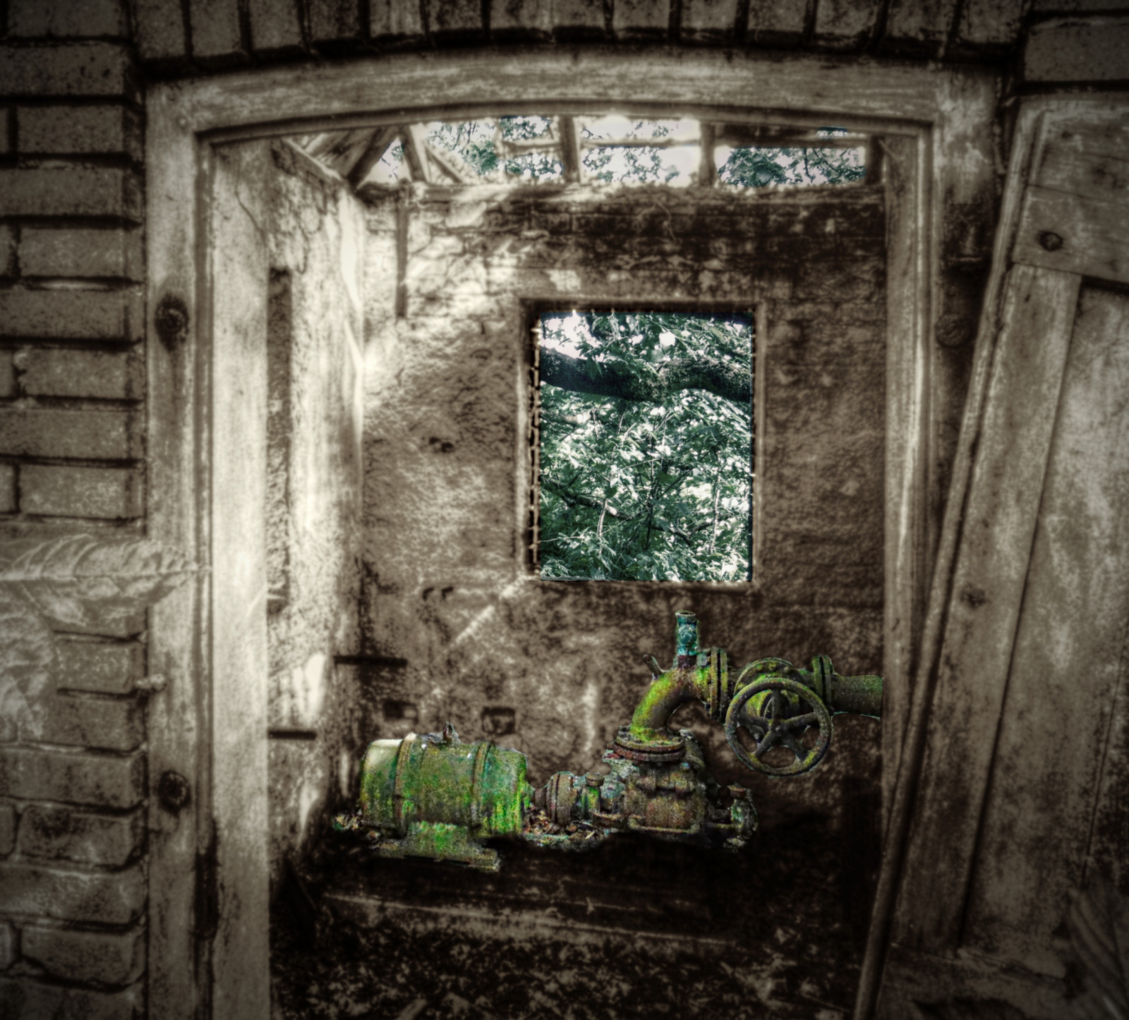 vecchio, finestra, costruzione, parete, casa, verde, Germania, nero di seppia, rovine, alt, urbex, ARTE, lp, deutschland, vecchio edificio, Nordrheinwestfalen, NRW, verlassen, area urbana, storia antica, lostplace, Pumpenhaus, altegeb ude