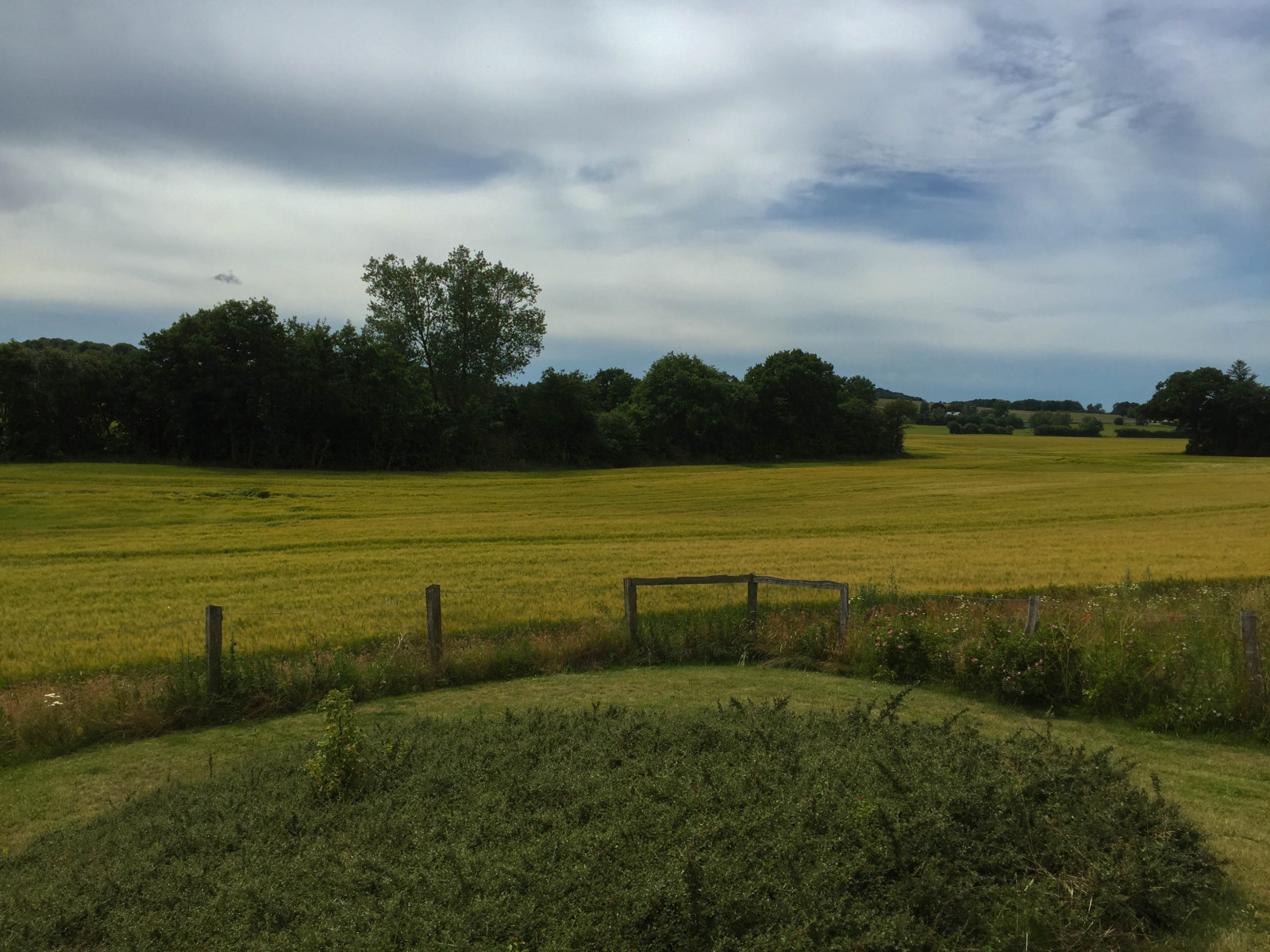 krajina, kopec, Příroda, tráva, nebe, pole, mraky, zelená, hospodařit, horizont, Evropa, Dánsko, struktura, mrak, strom, lučina, rostlina, venkov, pastvina, landsbygd, pole, Tureby, landsdel, sydmotorvejen354, zemědělství, louka, prostý, trávník, prérie, půda, venkov, místo výskytu, dřevina, sportovní dějiště, ekosystém, tráva rodina, neloupané pole