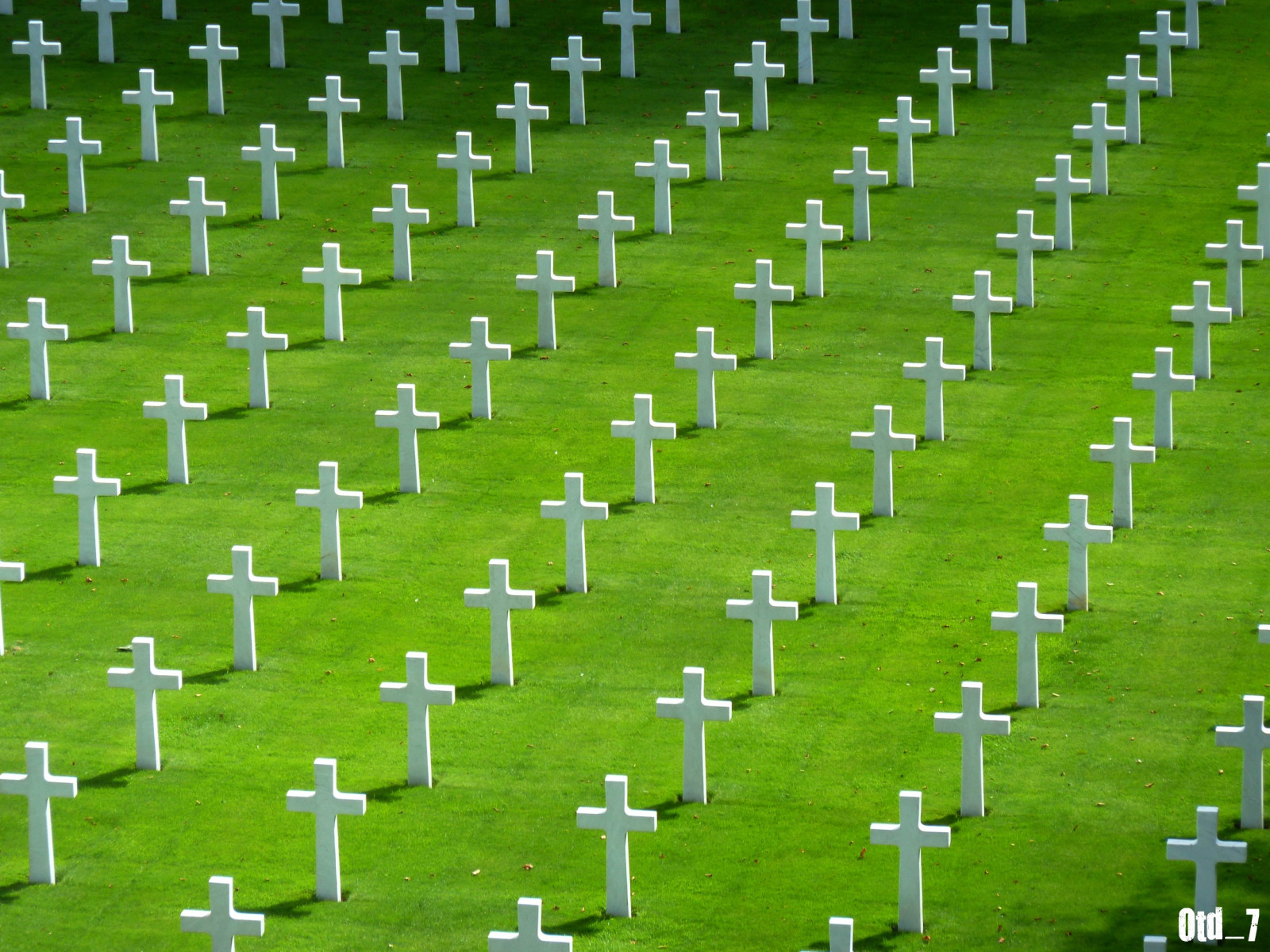 svět, narozeniny, Nový, York, 2001, Spojené státy americké, Amerika, washington, Pennsylvania, Manhattan, sjednocený, letouny, věže, 911, Záchvat, dvojče, terorista, centrum, 11, září, hold, stavy, hommage, obchod, montana, septembre, anniversaire, 119, Teroristy, croix, Avions, Cimetiere, Tributo, Homenaje, 10 mě, Oběti, Ataky, Omaggio, Attentáty, Valerien, Pennsylvanie, Pentagon, Attaques, Schatting