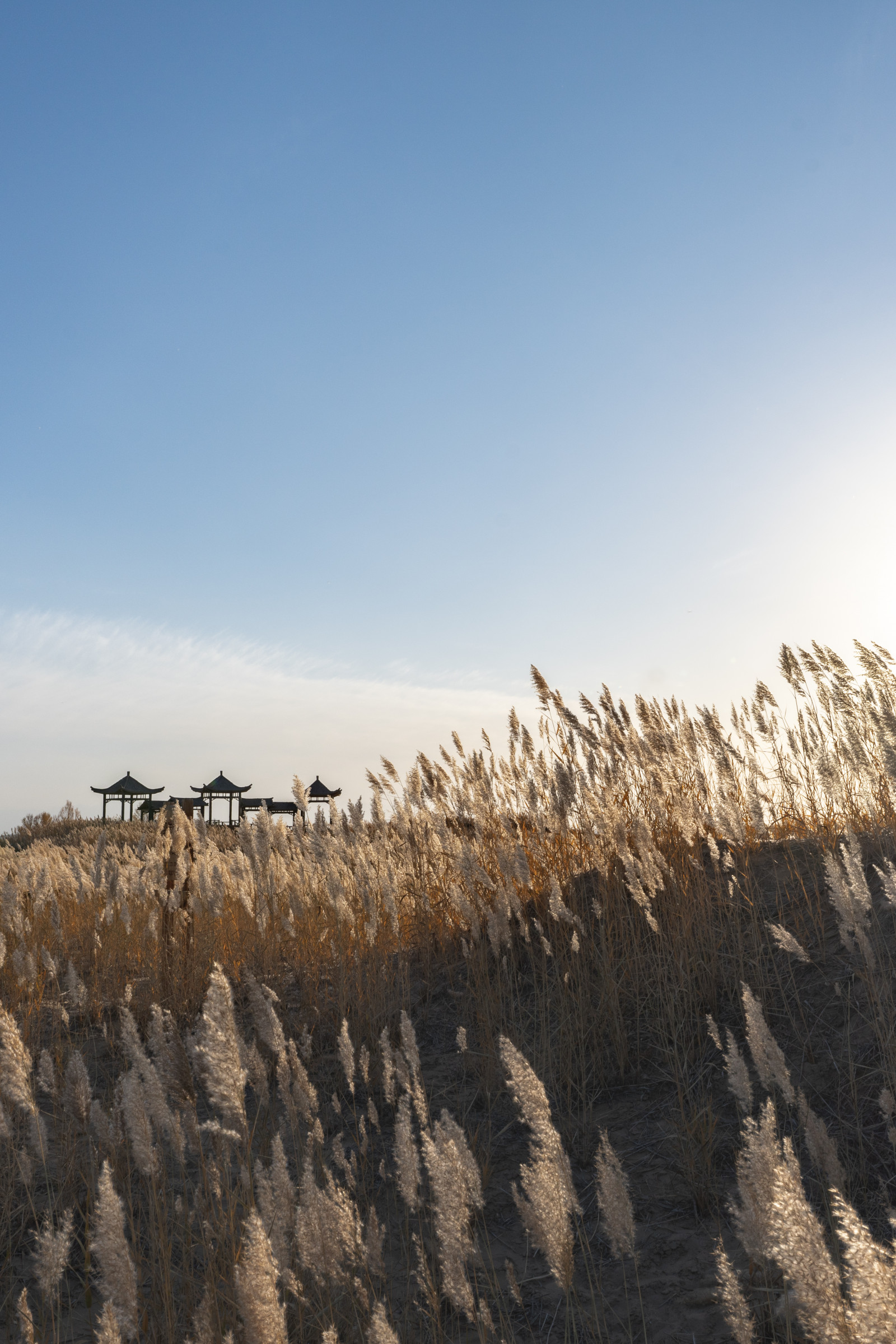 2020photographys, Cina