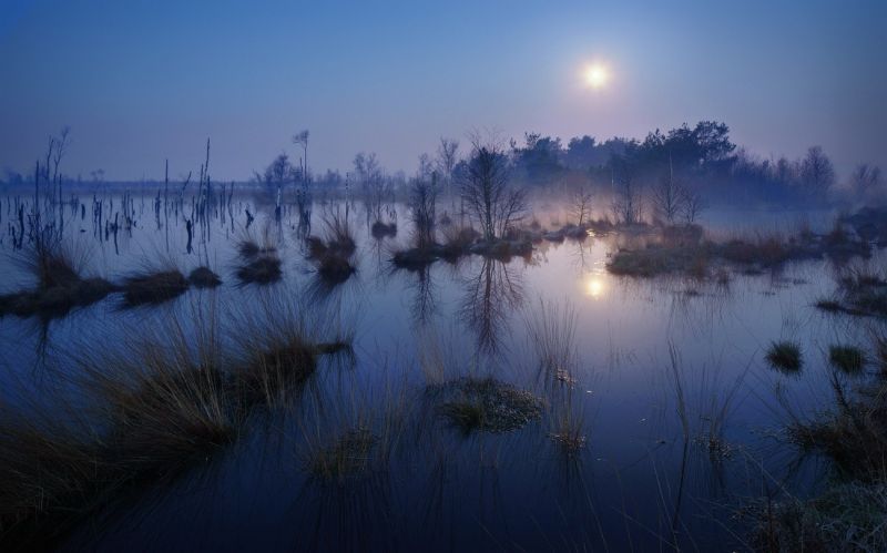 sunlight, trees, landscape, water, nature, lake sunlight, trees, landscape, water, nature, lake