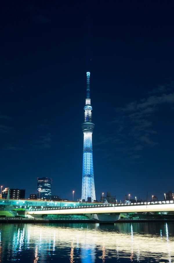 Japan,night,architecture,reflection,city,cityscape