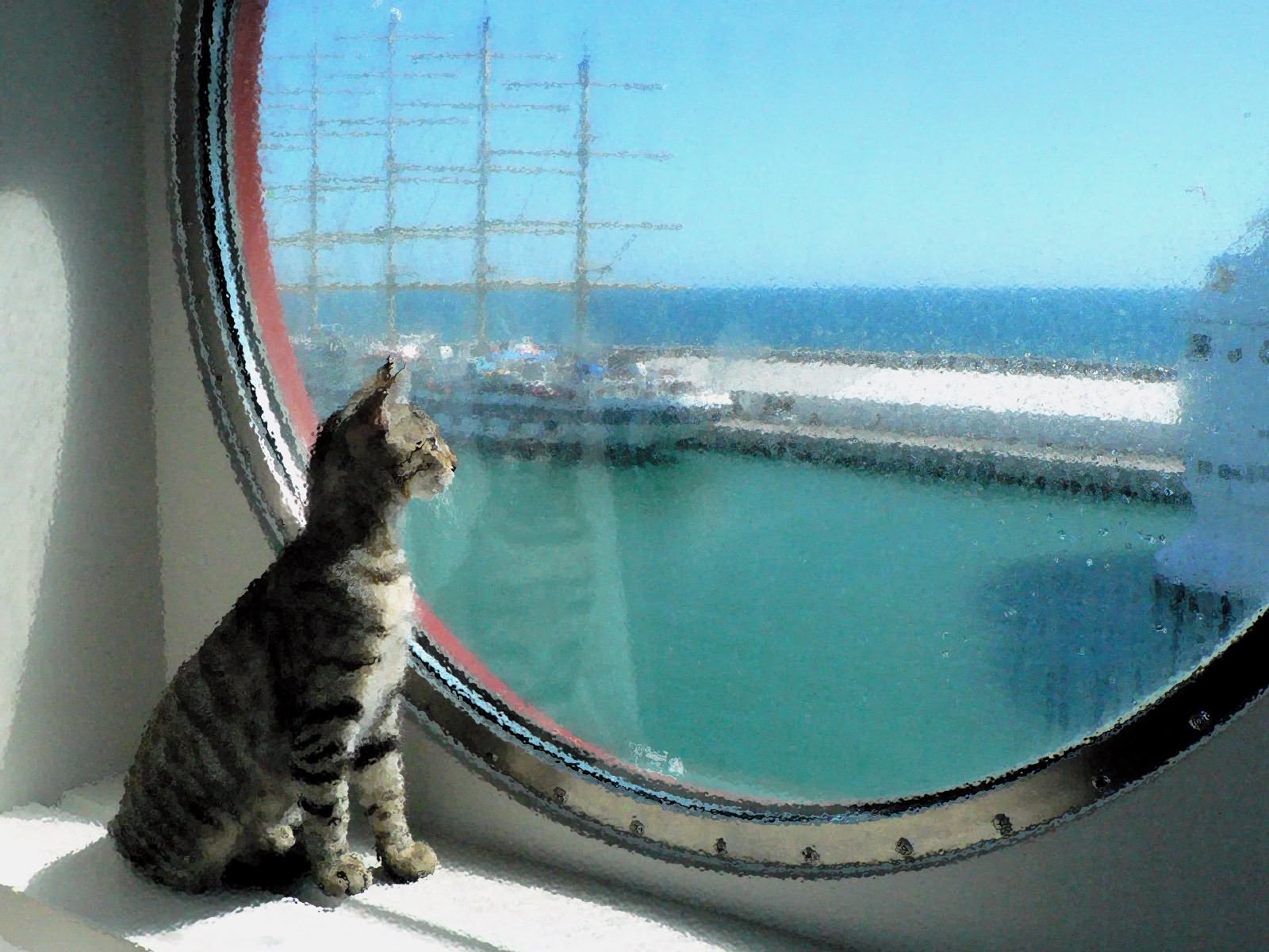 tegning, kat, håndværk, boks, pattedyr, kat lignende pattedyr, små til mellemstore katte