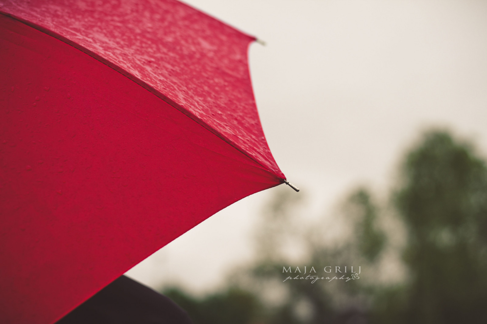 Wallpaper red, nature, rain, weather, umbrella, outside, photography