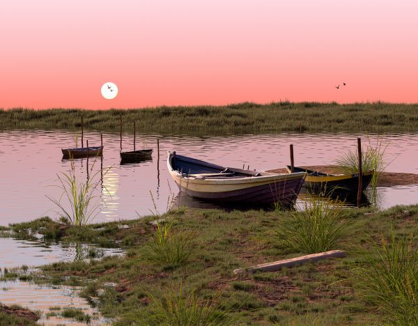 digital,digital art,artwork,illustration,nature,calm