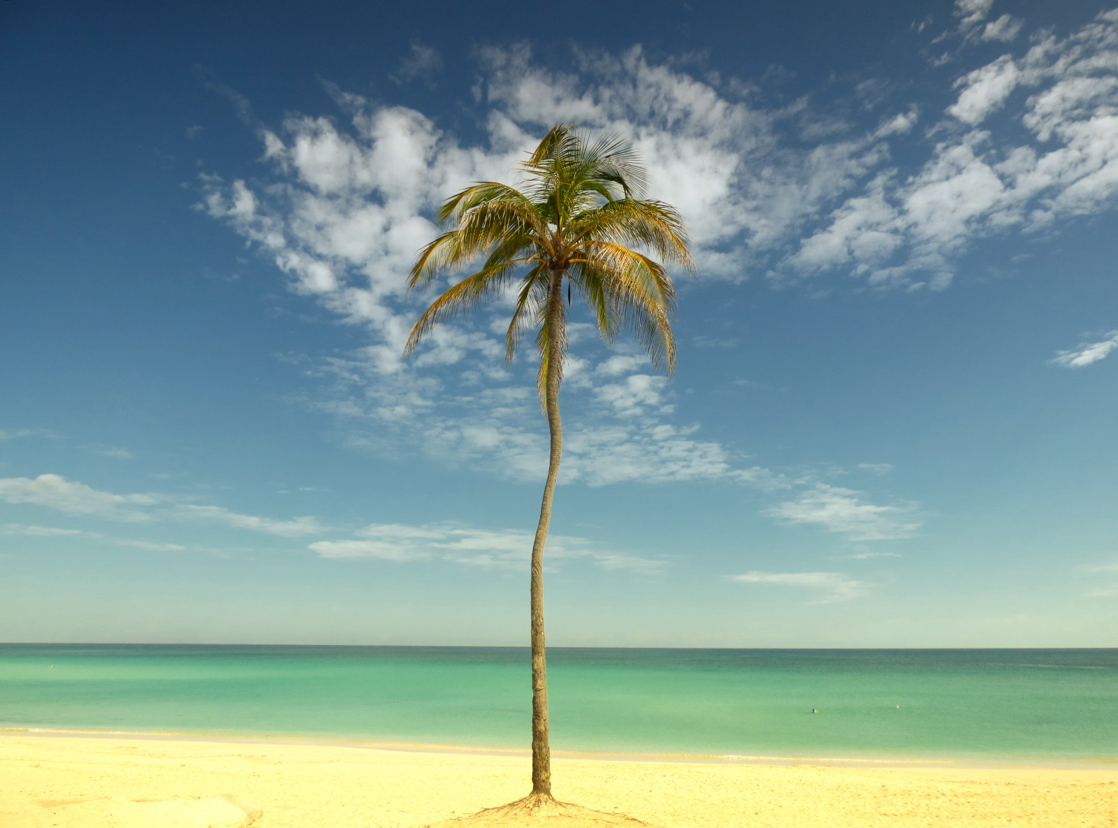 moře, voda, pobřeží, nebe, pláž, uklidnit, horizont, tropický, Dovolená, karibský, dovolená, Havana, Kuba, mrak, strom, oceán, palmtree, tropy, ráj, kokosový ořech, během dne, počítač tapeta, arecales, datlovník, palma, Playadeleste, Villabacuranao