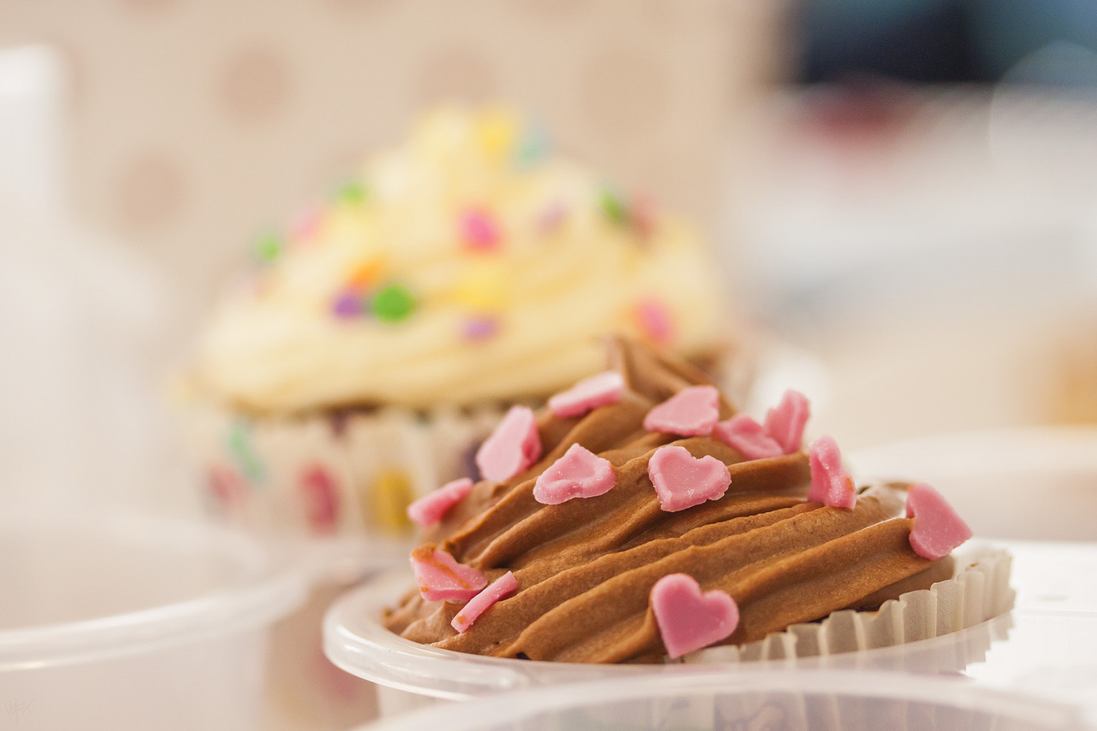 Wallpaper : food, macro, cake, hearts, dessert, sweet, chocolate