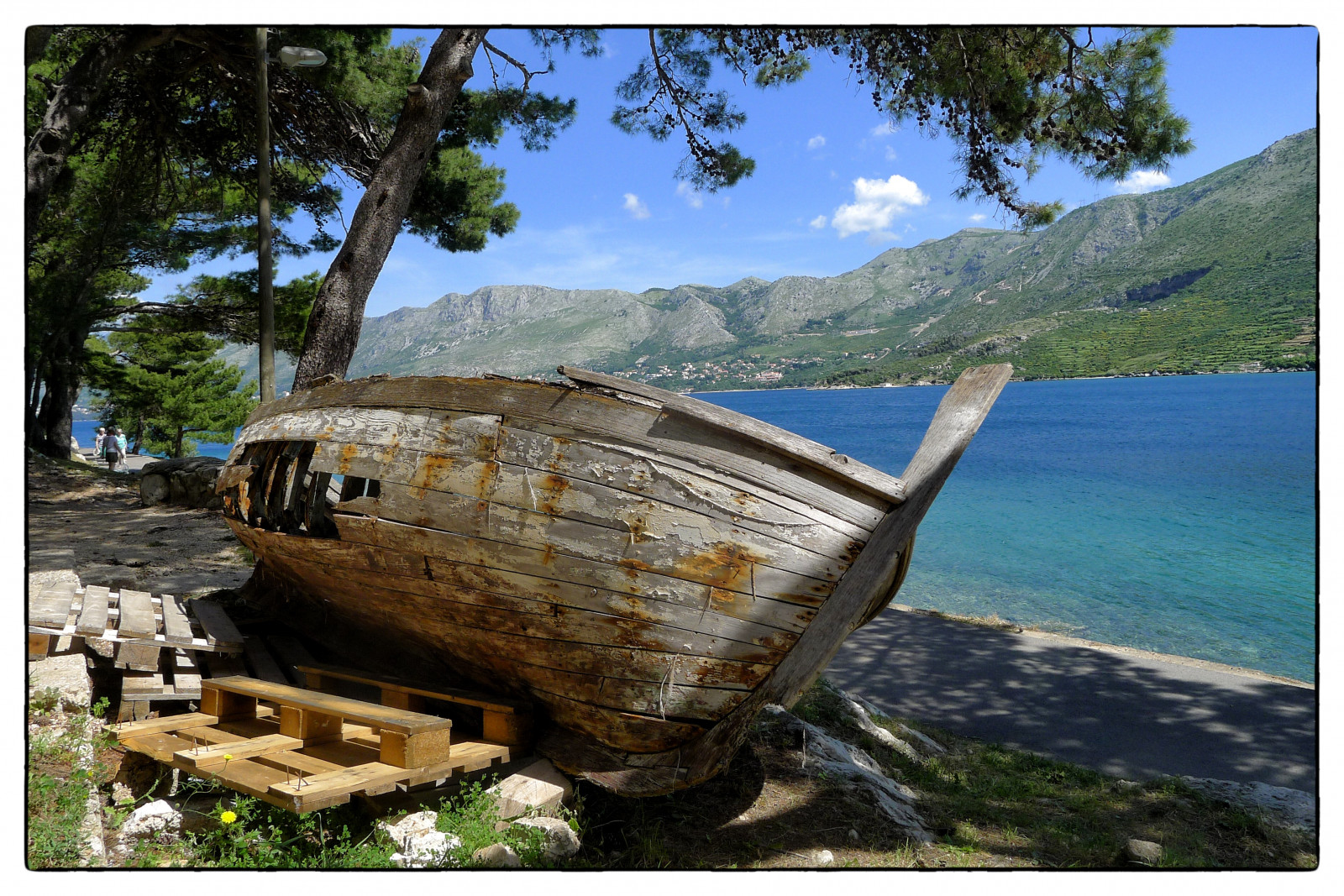 Wallpaper blue, trees, green, coast, boat, path, Croatia, Sunny