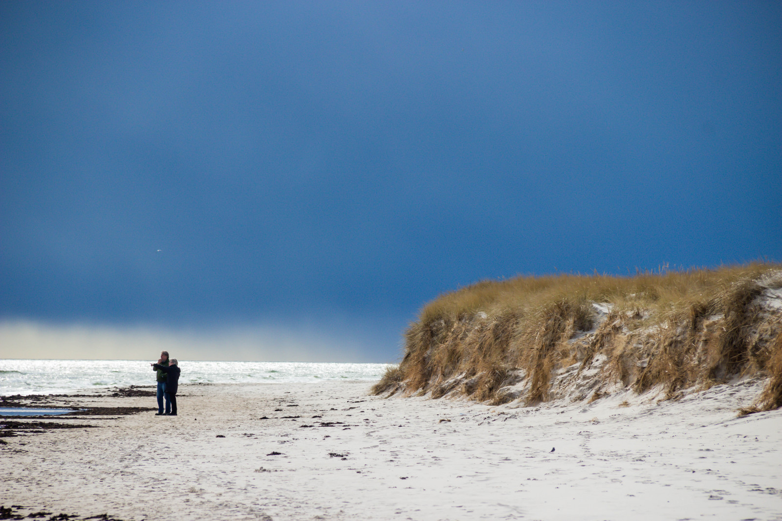 Wallpaper sunlight, sea, rock, shore, sand, sky, snow, winter, beach