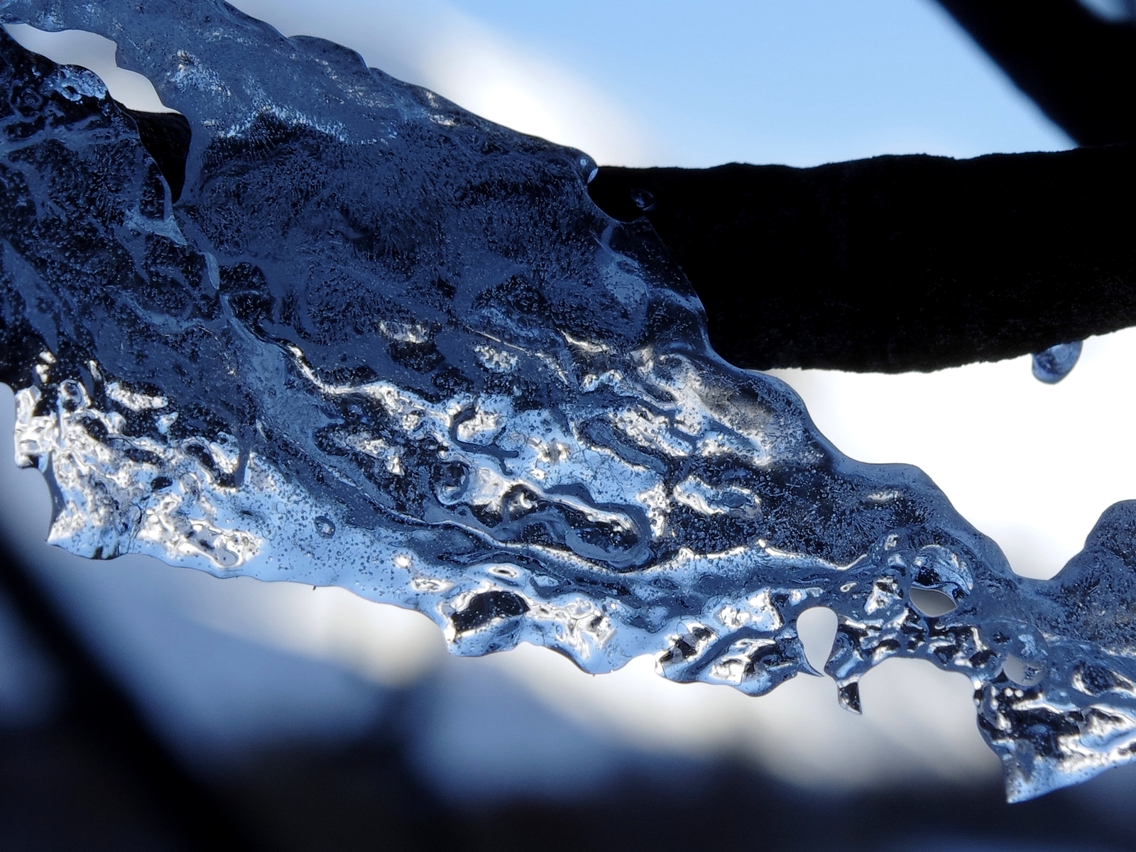 modrý, zima, světlo, naturaleza, bílý, sníh, Francie, Alpy, Studený, barva, makro, odraz, blanco, led, luz, Příroda, krása, alpes, barvy, pentax, venkovní, hiver, Nieve, leden, naturallight, poetický, bleu, reflet, odrážet, Lumiere, Reflejo, poesia, neige, ledový, 55, zrcadlení, francia, Janvier, exterieur, reflexo, blanc, froid, hielo, transparence, kandovaný, poesie, 2014, JBZ, JBR, reflecion, naturel, hautesalpes, lumierenaturelle, jenero, Hinvierno, jibz, pentaxart, k5ii, Jbrphoto, Jbrphotography