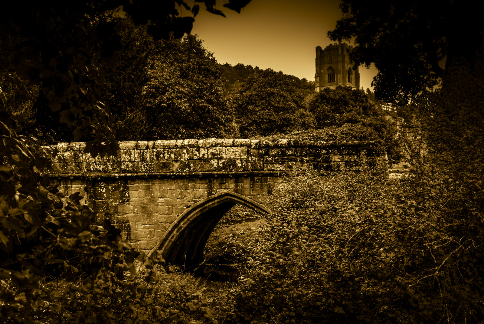 slunečnímu záření, západ slunce, noc, odraz, večer, ráno, most, Nikon, kuželky, světlo, strom, NIKKOR, podzim, list, sezóna, tma, D3200, nikond3200, kitlens, počítač tapeta, Trevor, trevorbowling, Klášter Fountains, skell