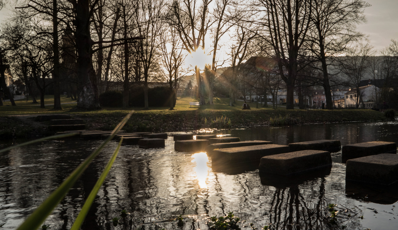 alberi, tramonto, Sole, natura, acqua, Germania, sera, umore, all'aperto, natur, Samsung, lensflare, 3000, pfalz, Seguimi, Riverstones, Nx, Samsungnx3000, Parkbadd rkheim