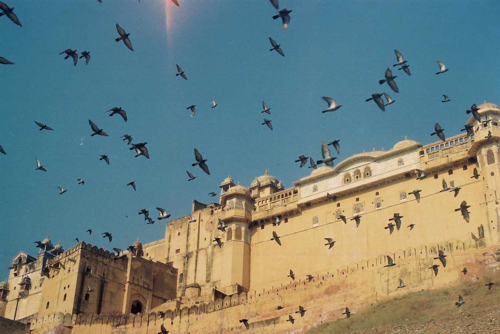 nebe, turistická atrakce, Cestovní ruch, stádo, migrace zvířat, pták, písek, krajina