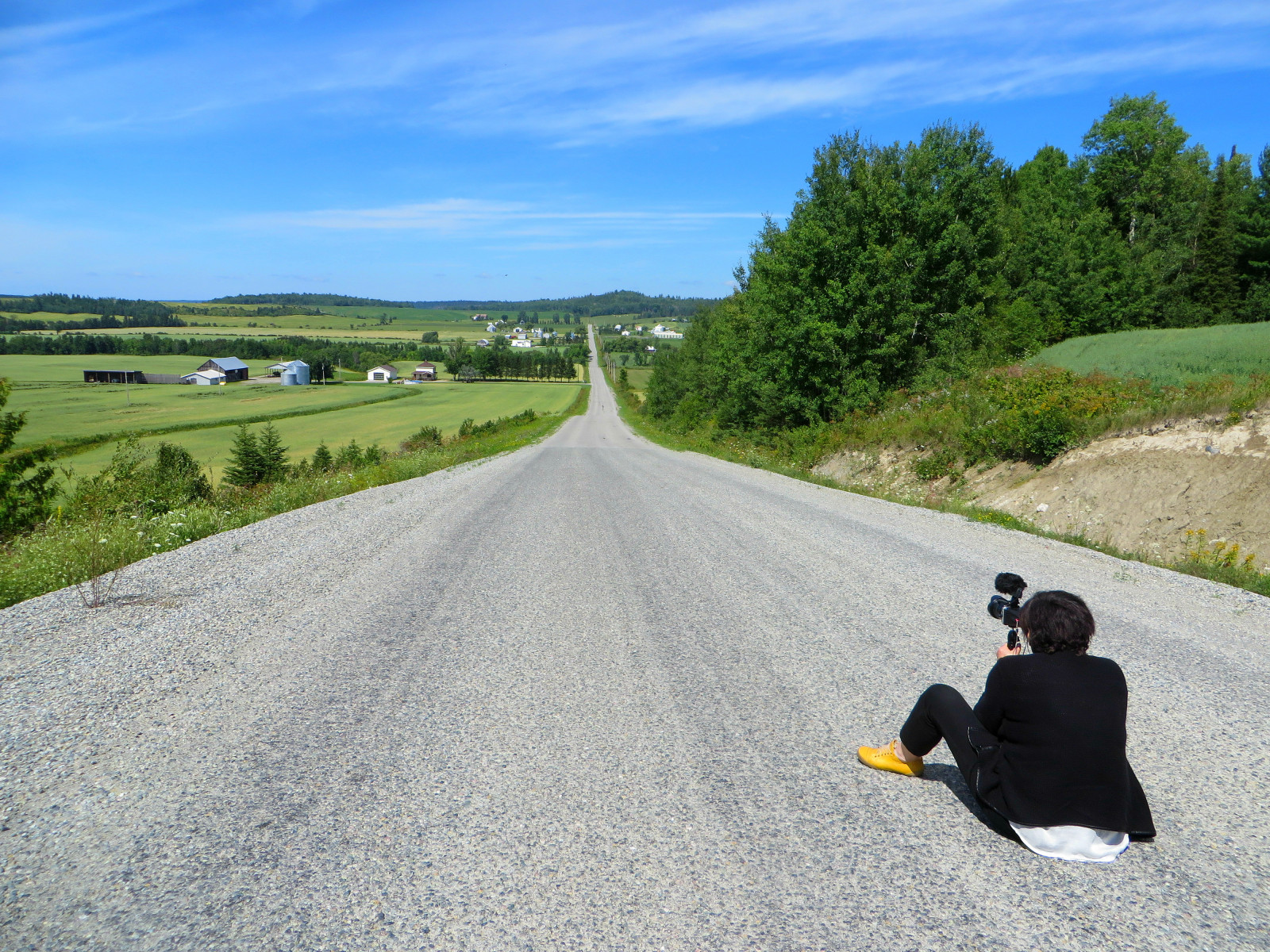 stromy, krajina, kopec, tráva, nebe, pole, silnice, mraky, zelená, žlutý, Fotoaparát, modrý, obuv, Dálnice, cesta, asfalt, Quebec, trasa, infrastruktura, Celine, mrak, strom, rostlina, vert, ciel, mraky, arbre, bleu, žlutá, rameno, pruh, arbres, road trip, povrch vozovky, Souliers, t miscamingue, Villemarie, Img4510, Chemindu1errang