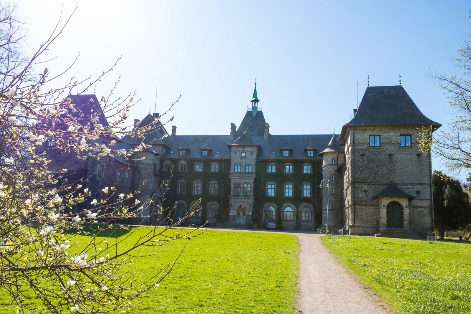 épület, kastély, chateau, birtok, fa, őszi, virág, évad, slott, Alnarp, vidéki térség, impozáns otthon
