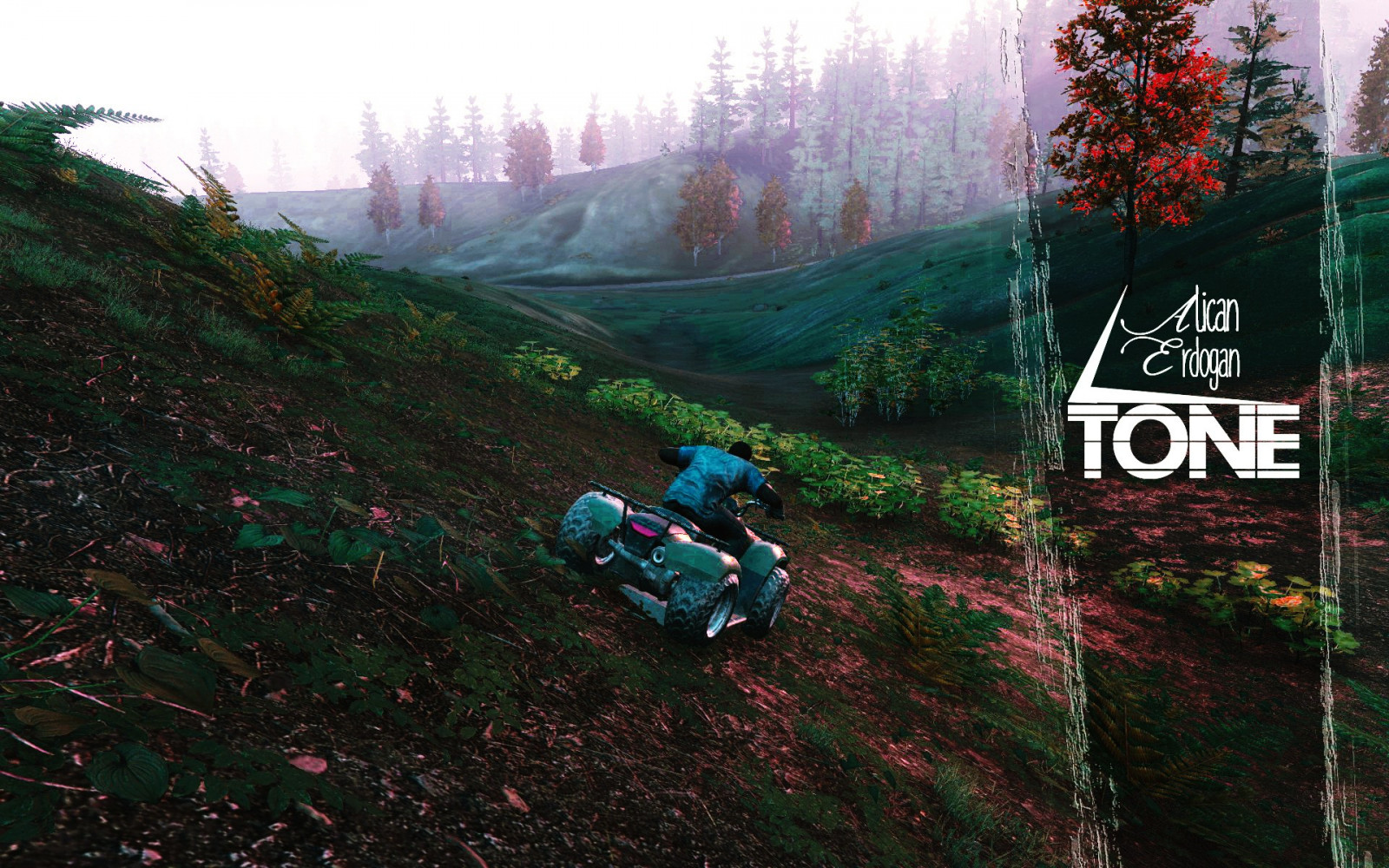 les, Snímek obrazovky, džungle, H1Z1, H1Z1 Jen přežít, H1Z1 King Of The Kill, Terén, stezka, Snímek obrazovky, místo výskytu, přírodní prostředí, počítač tapeta, ekosystém