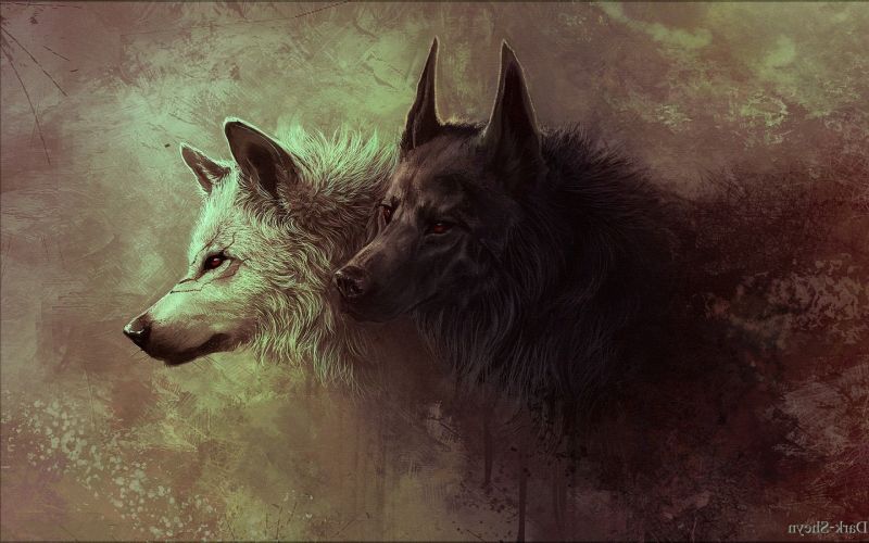 zvěř, vlk, Snímek obrazovky, 2560x1600 px, fiktivní postava, pes jako savec zvěř, vlk, Snímek obrazovky, 2560x1600 px, fiktivní postava, pes jako savec