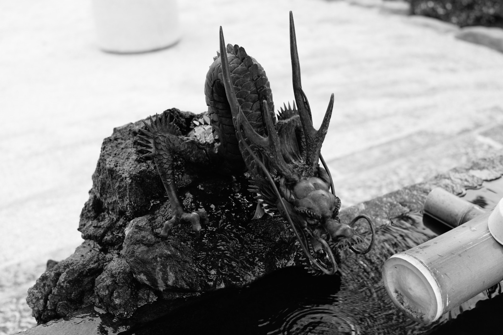 สีขาว, ดำ, ขาวดำ, หิมะ, ฤดูหนาว, การถ่ายภาพ, Leica, โตเกียว, M, สภาพอากาศ, bw, รูปถ่าย, Zeiss, carlzeiss, leicam, typ240, Meguro, ระนาบ, planar250, 250, megurofudoson, ดำและขาว, ถ่ายภาพขาวดำ