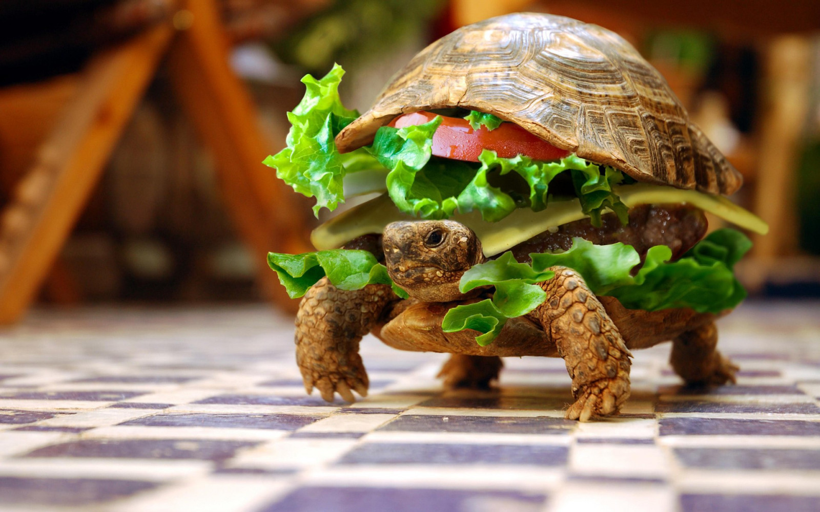 Wallpaper : animals, food, depth of field, green, photo manipulation ...