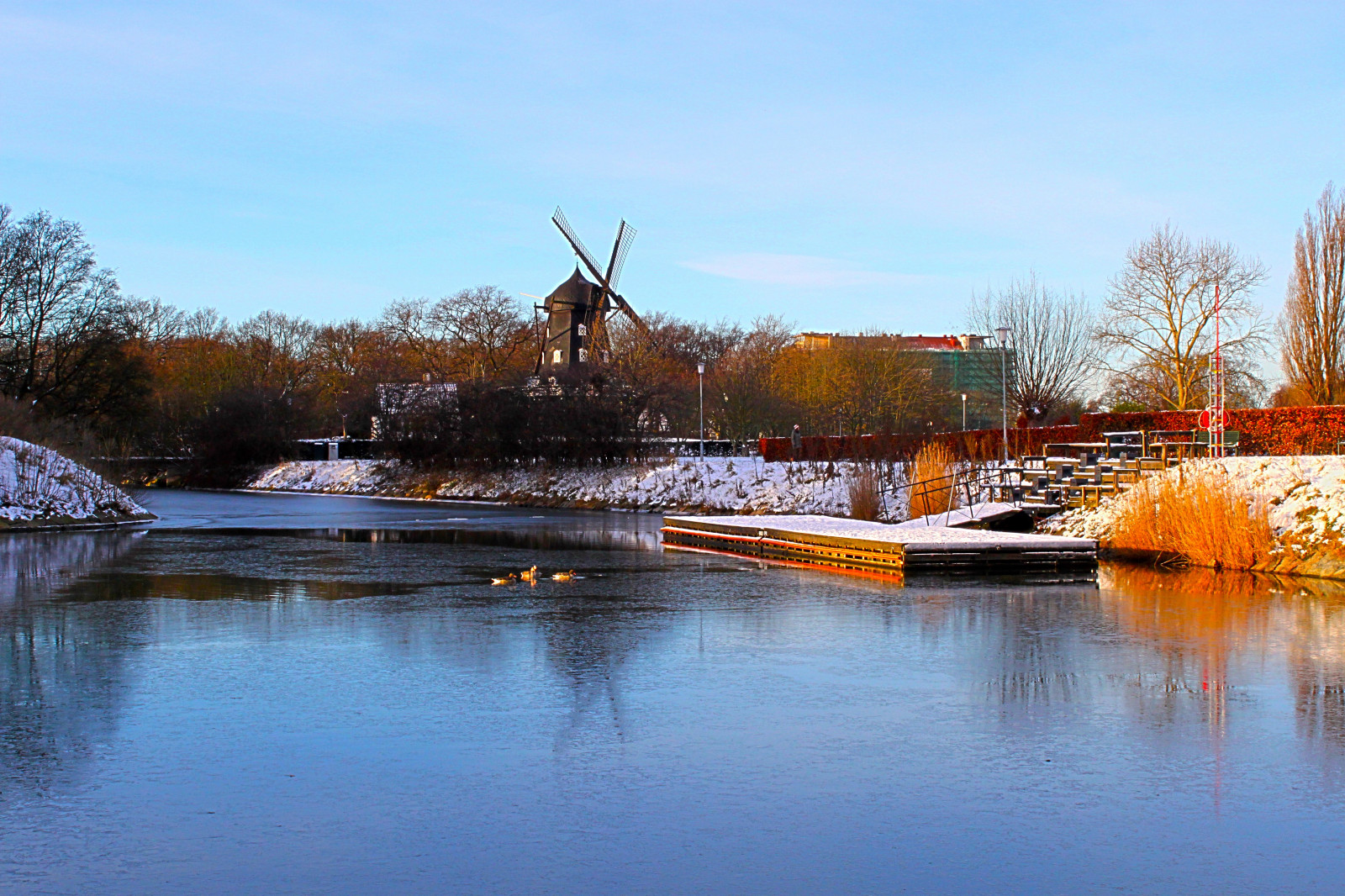 sollys, træer, landskab, sø, vand, natur, afspejling, græs, himmel, parkere, sne, vinter, is, aften, morgen, bro, flod, Dam, Sverige, skumring, mølle, lys, træ, efterår, blomst, plante, sæson, ænder, malmø, Slottsparken, landdistrikt, vandveje, vedplante