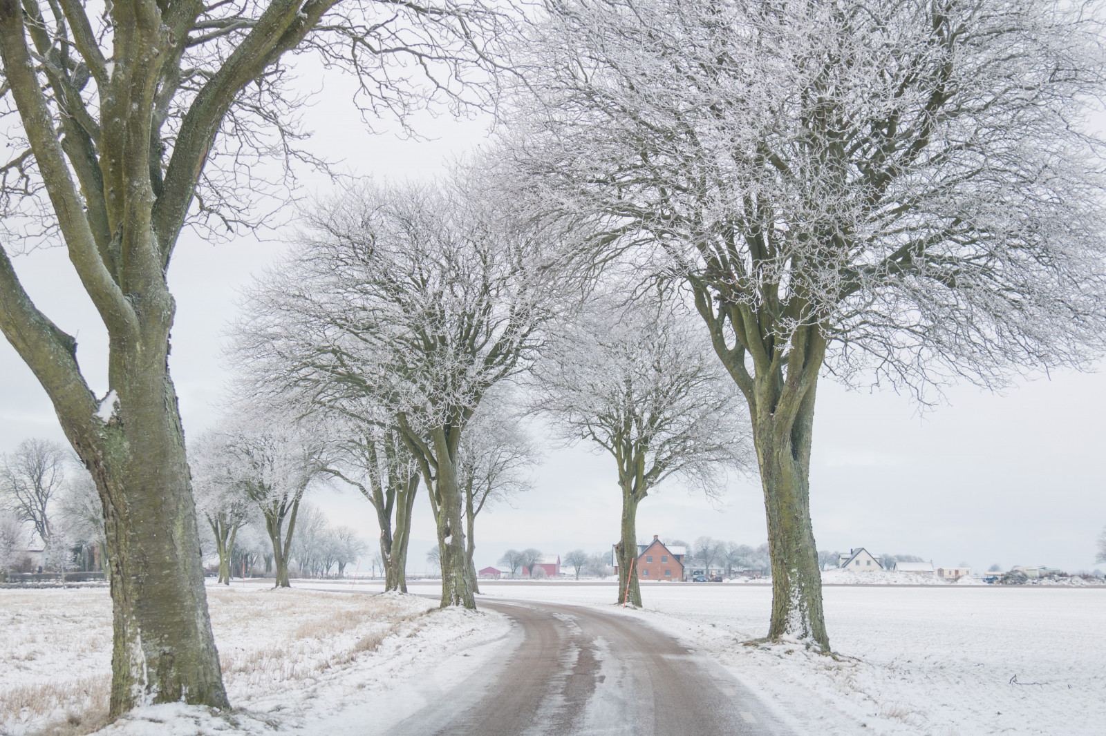 krajina, nebe, sníh, zima, silnice, větev, ráno, mráz, Jinovatka, zmrazení, strom, scenérie, počasí, sezóna, nebe, Vinter, tr d, landskap, VAG, rimfrost, tři, vánice, atmosférický jev, dřevina, zimní bouře, déšť a sníh mísí
